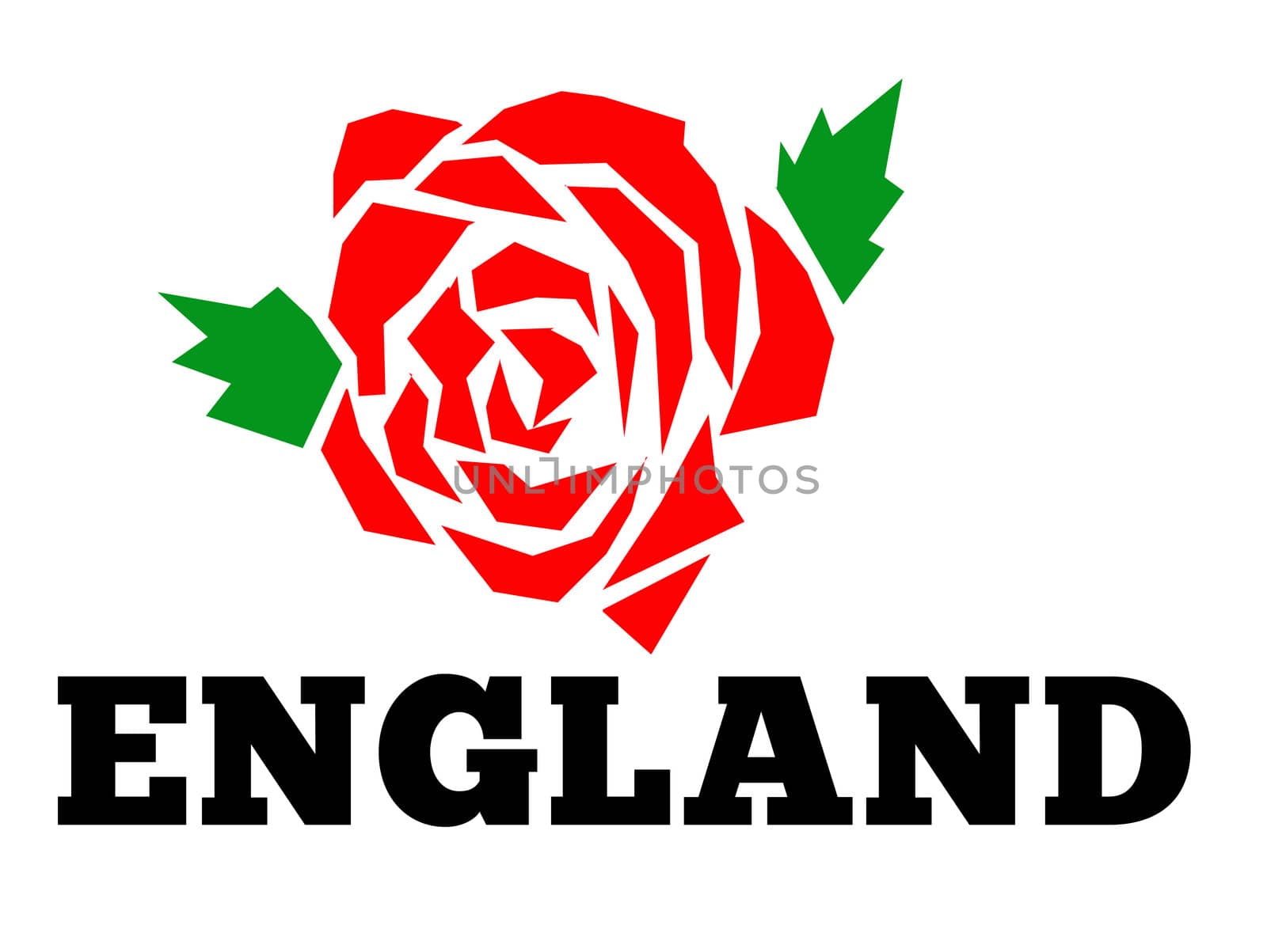 Illustration of a red english rose with words "England" isolated on white background