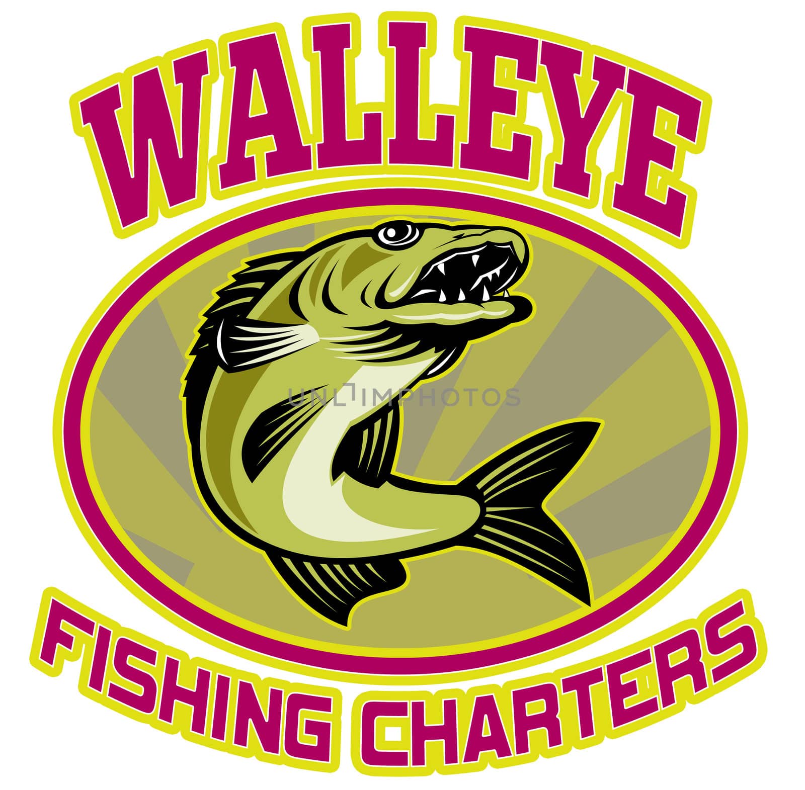 retro illustration of a walleye fish jumping set inside oval ellipse with sunburst in background  and words "walleye fishing charters"