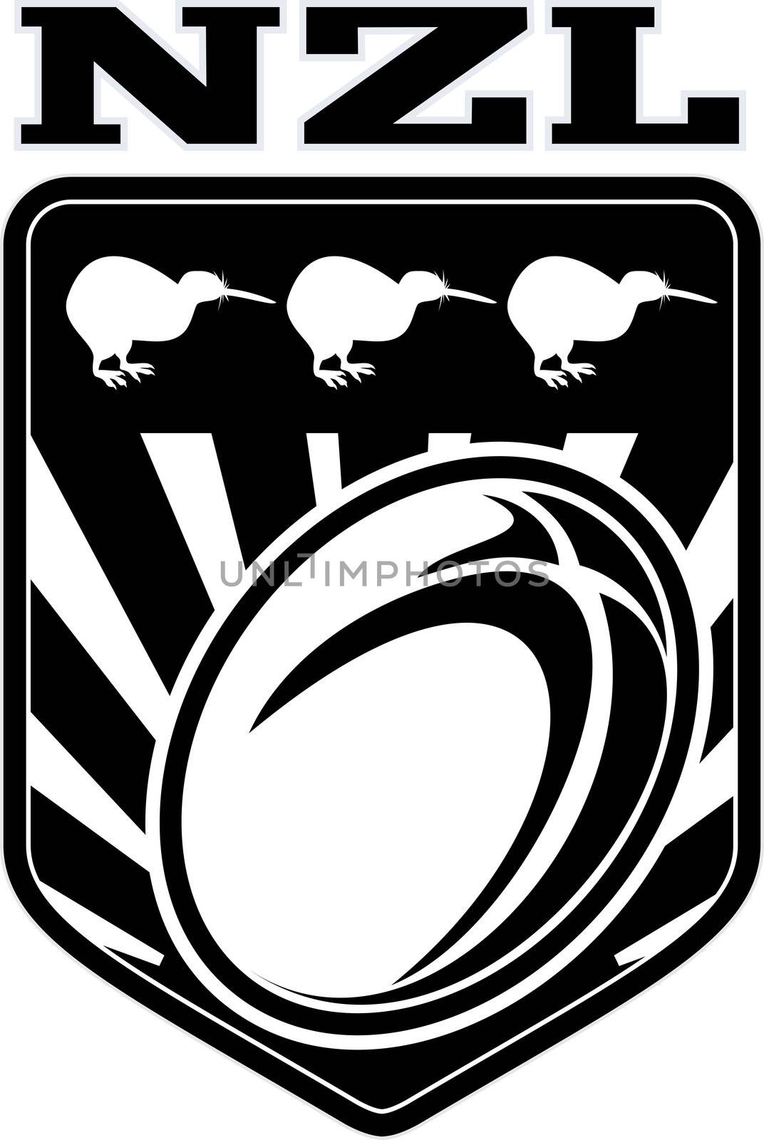 new zealand kiwi rugby league shield by patrimonio