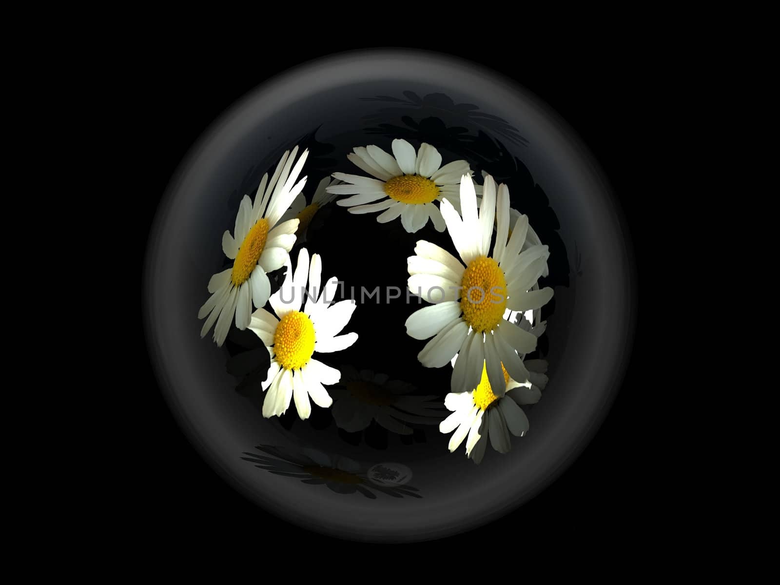 marguerittes  in a glass ball