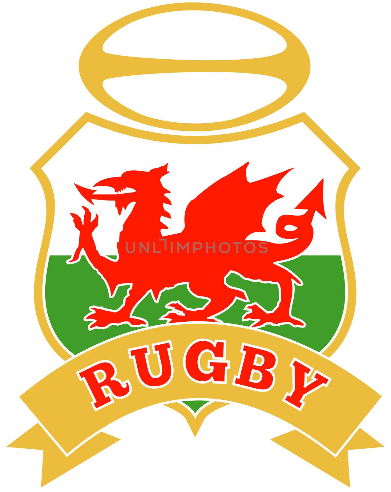 illustration of a red welsh wales dragon with rugby ball in shield on white background