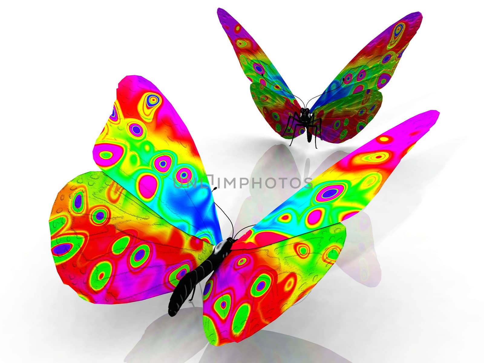 the beautiful butterfly with wings