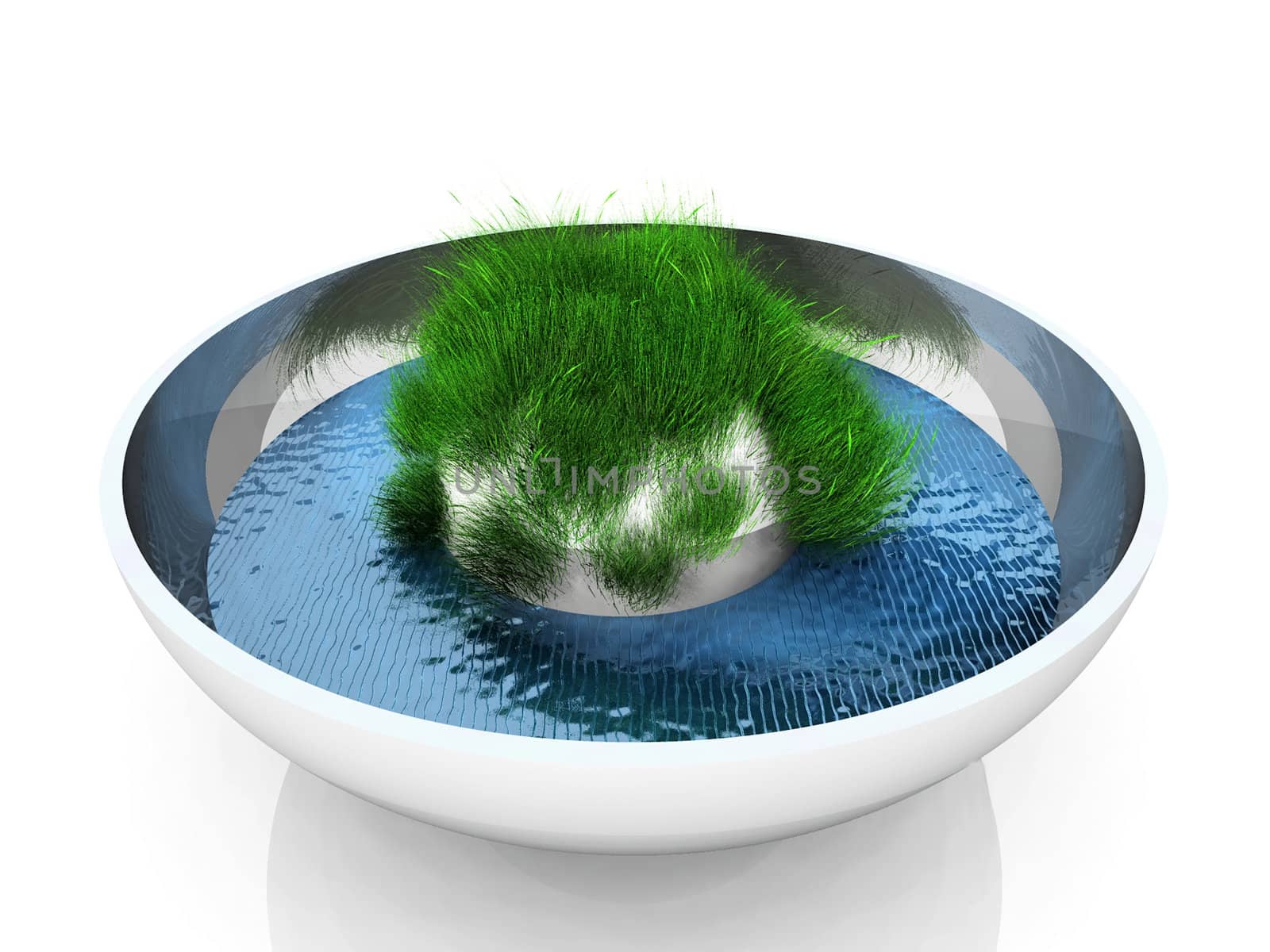 tuft of grass in a jar