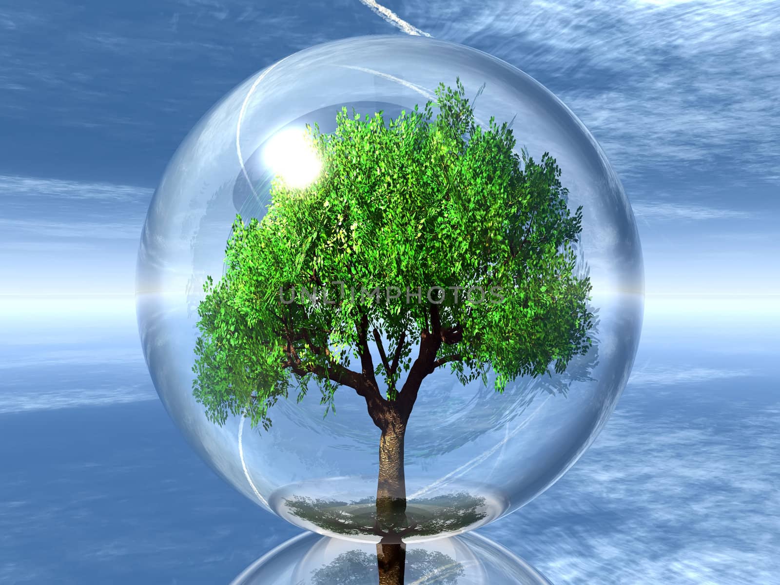 a green tree in a transparent bubble