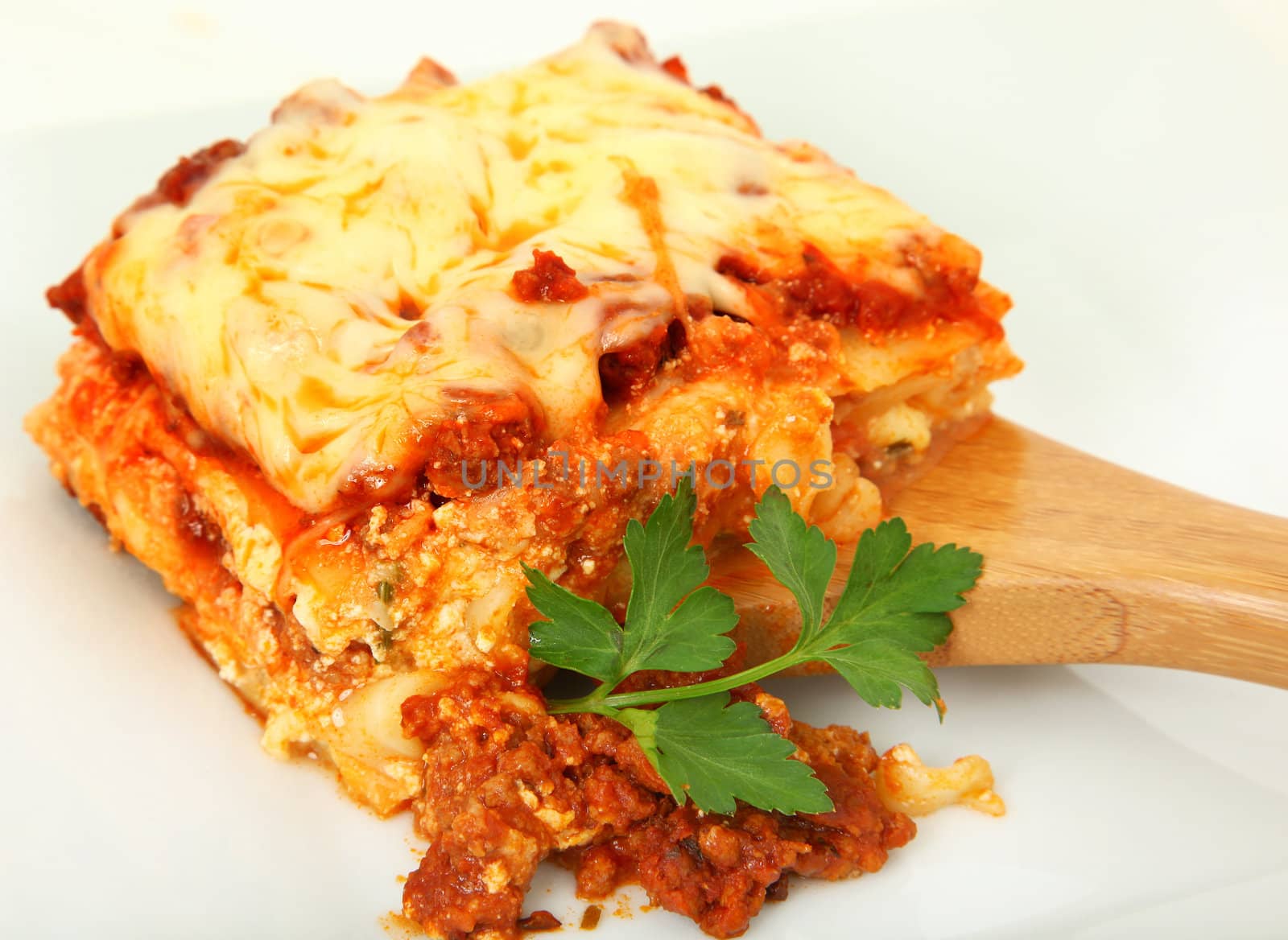 Lasagna Portion on Serving Spoon by duplass