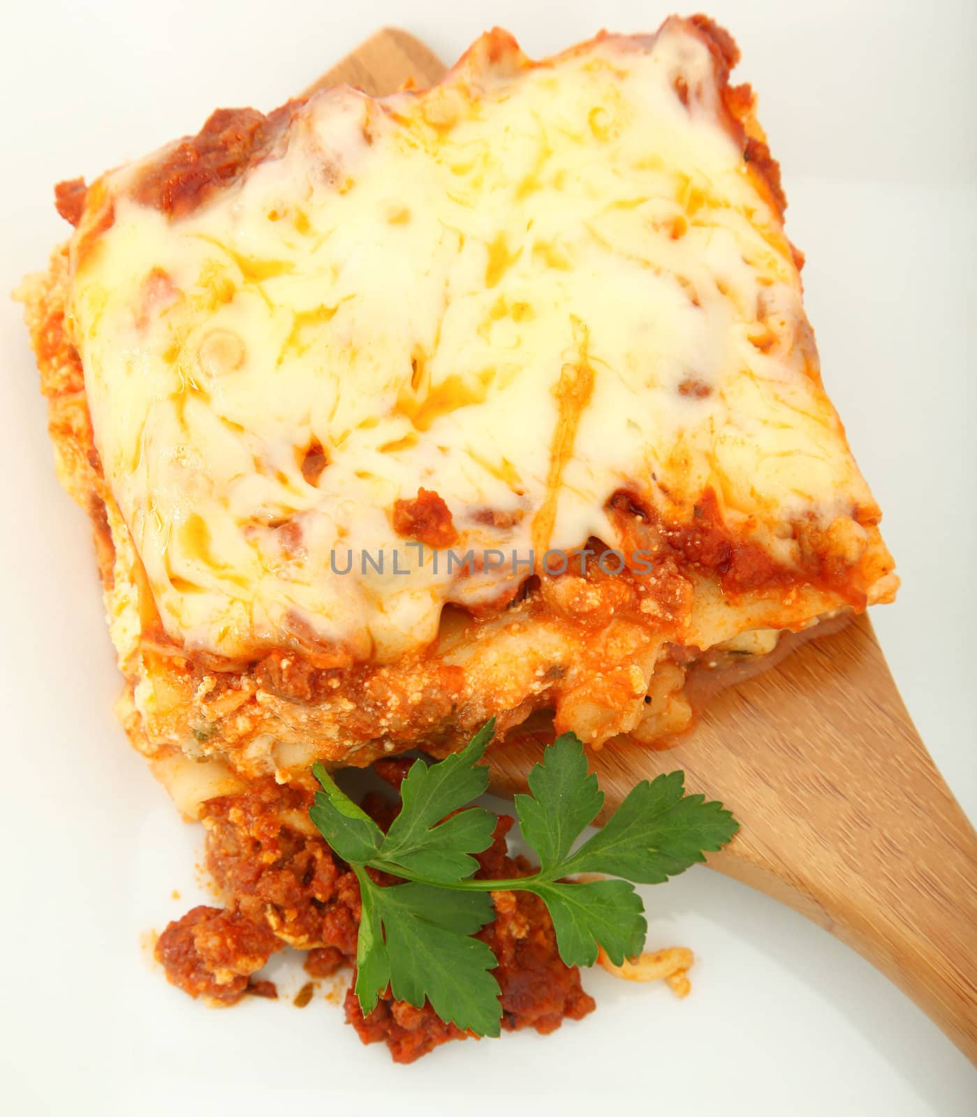 Lasagna Portion on Serving Spoon by duplass