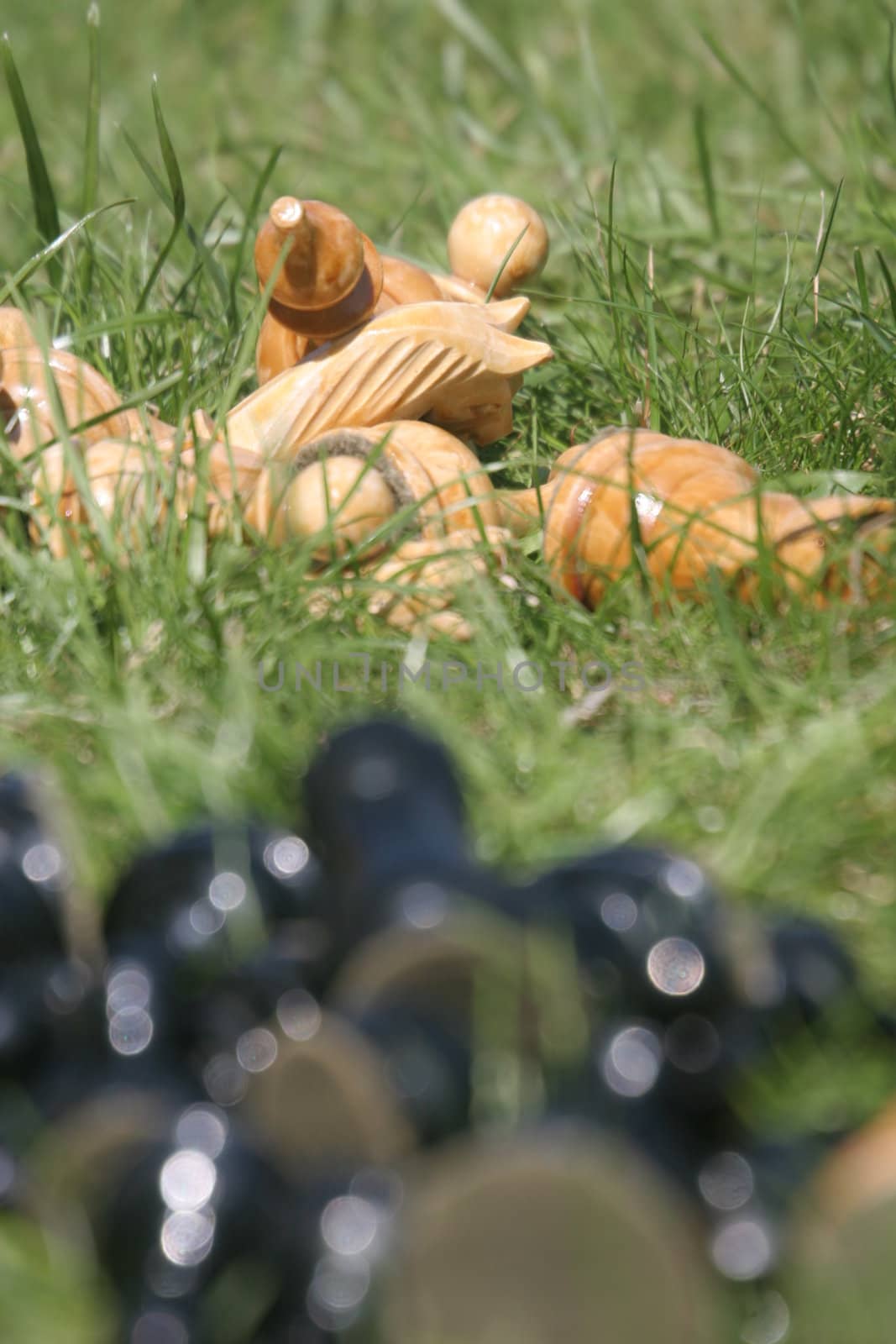 chess on a green lawn