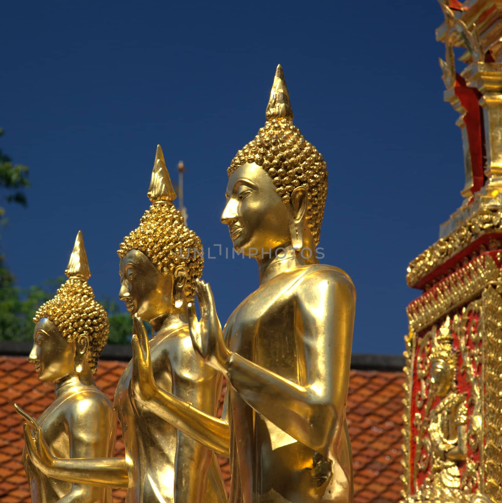 Three Golden Buddhas in a row against a blue sky - square
