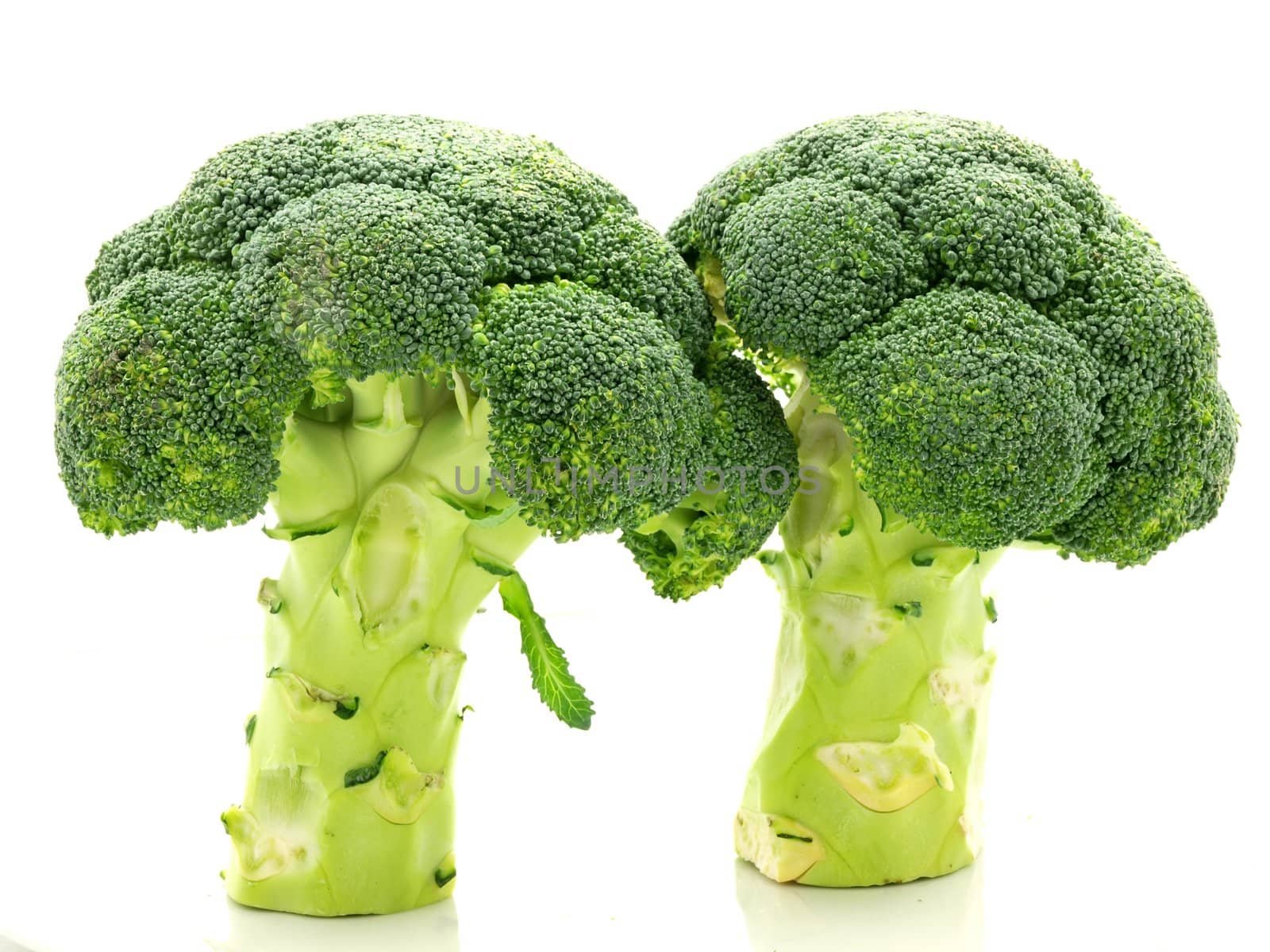 Couple of broccoli isolated standing on white plate