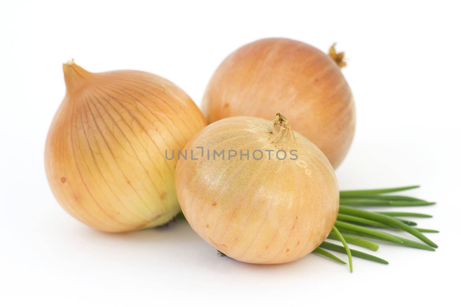 fresh bulbs of onion on a white background