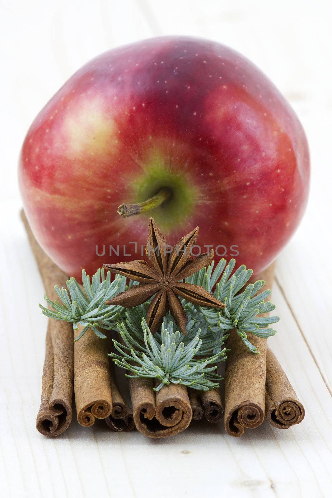 red apple, cinnamon sticks, anise