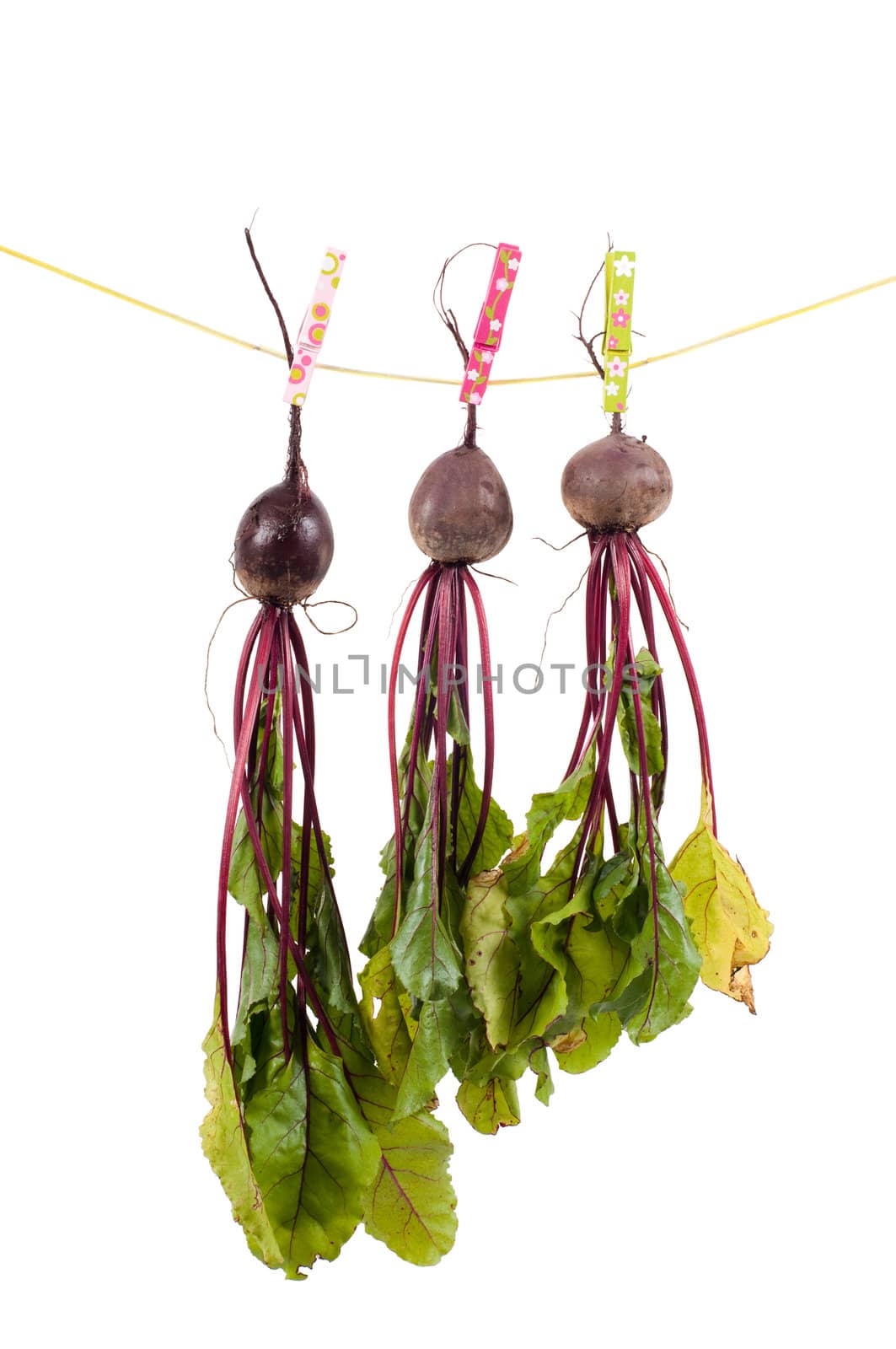 Shot of hanging beet isolated on white
