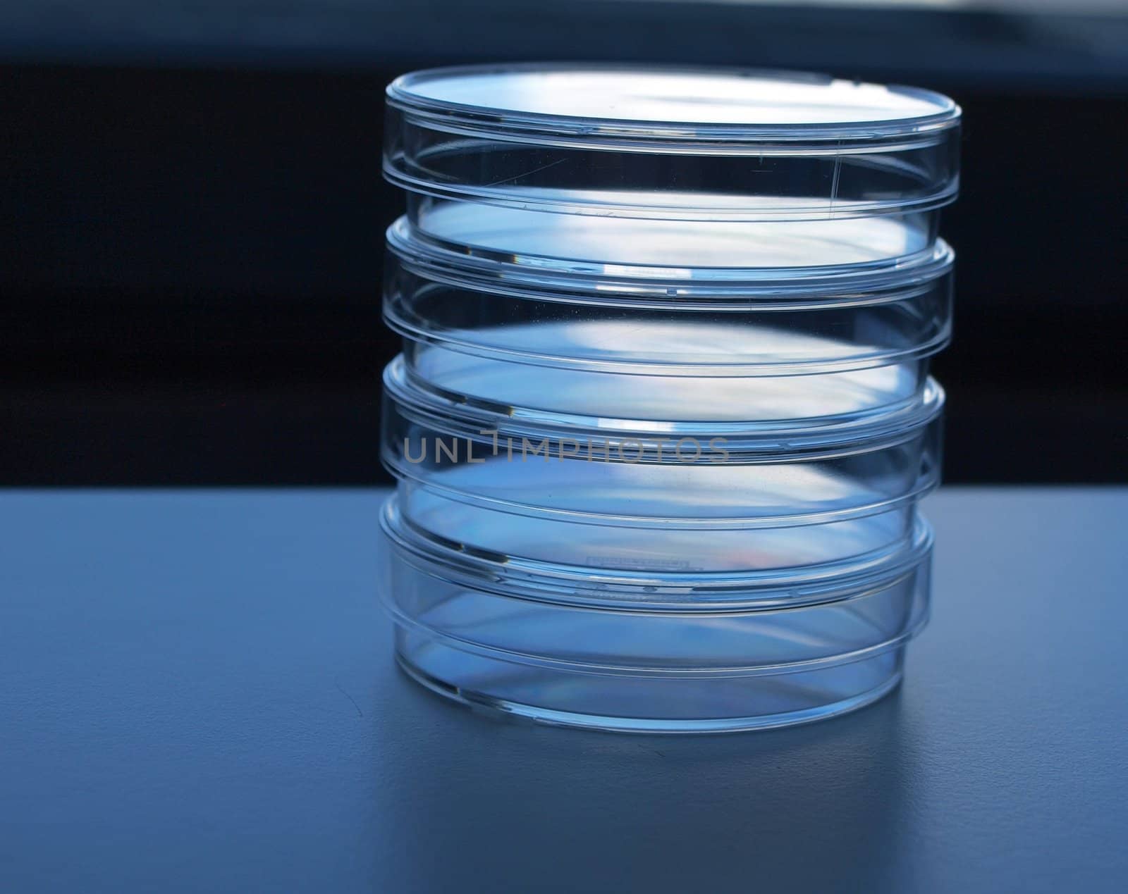 Empty bacterial clinical test plates on a table in laboratory