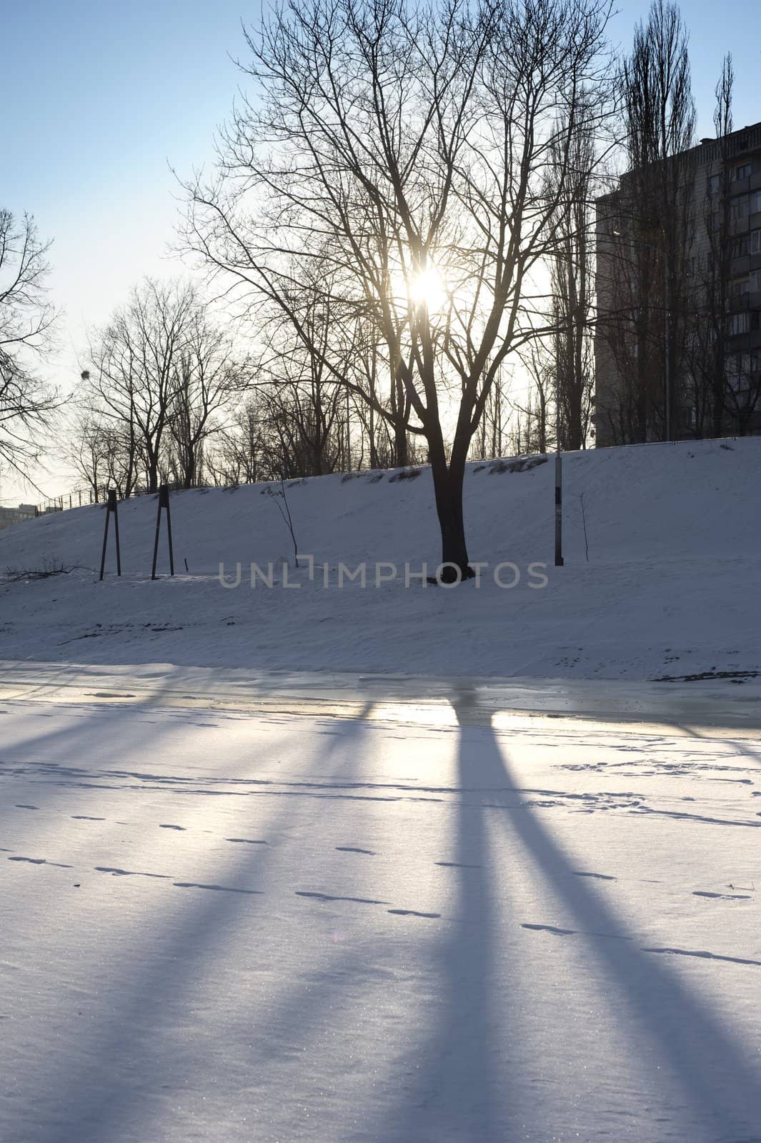 Winter street with lots of snow in Kyiv