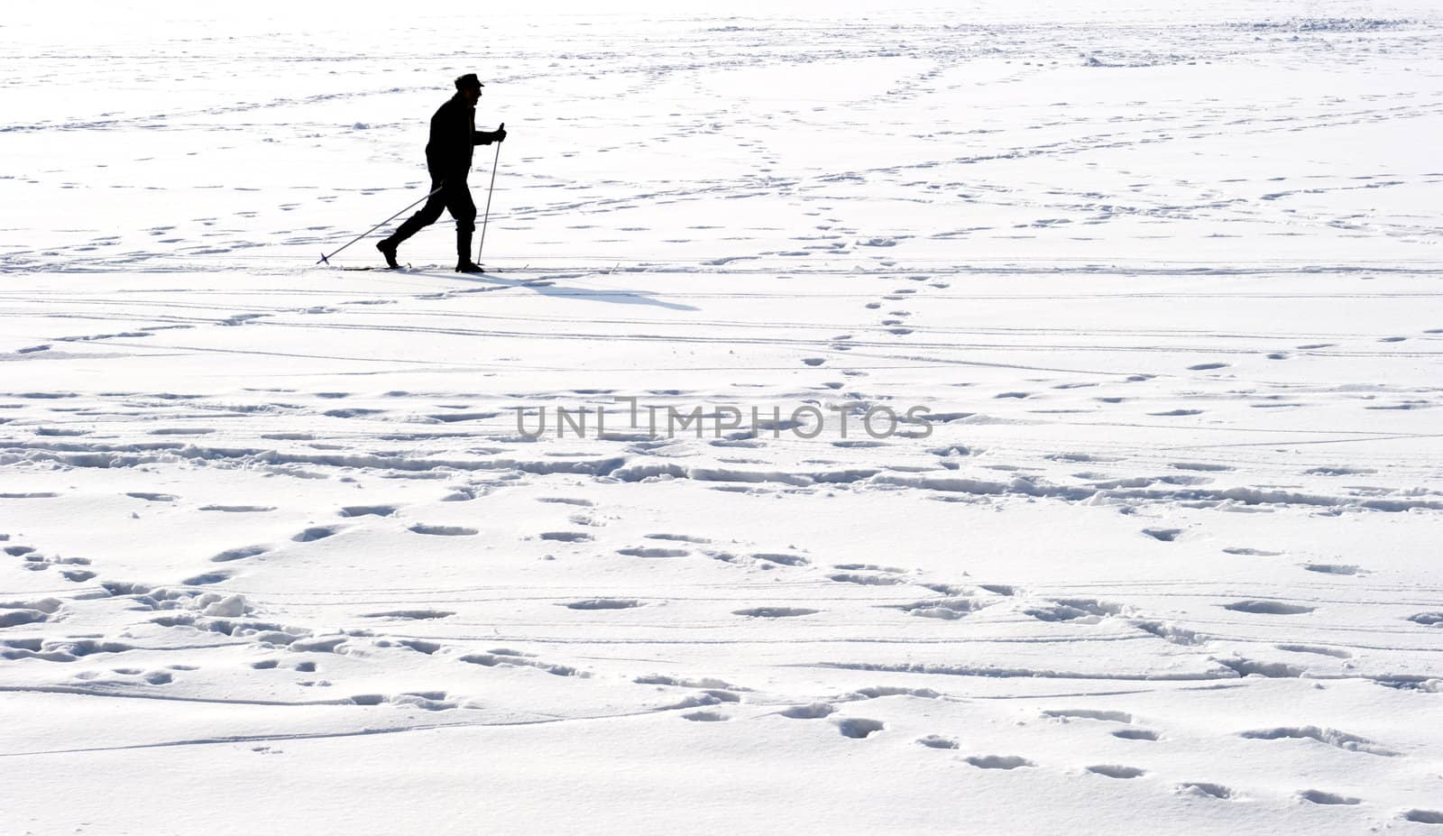 winter scene with skier