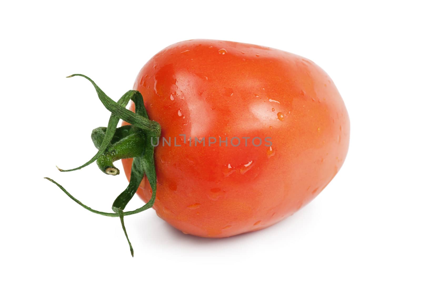Tomato by AGorohov