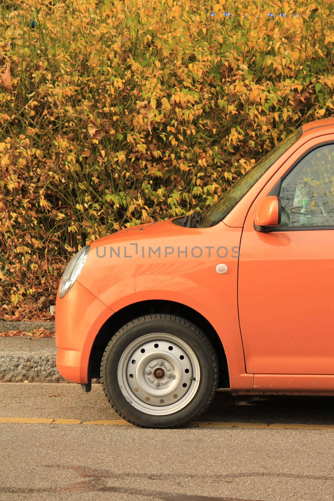 Small orange car standing in front of autumn small leaves bush