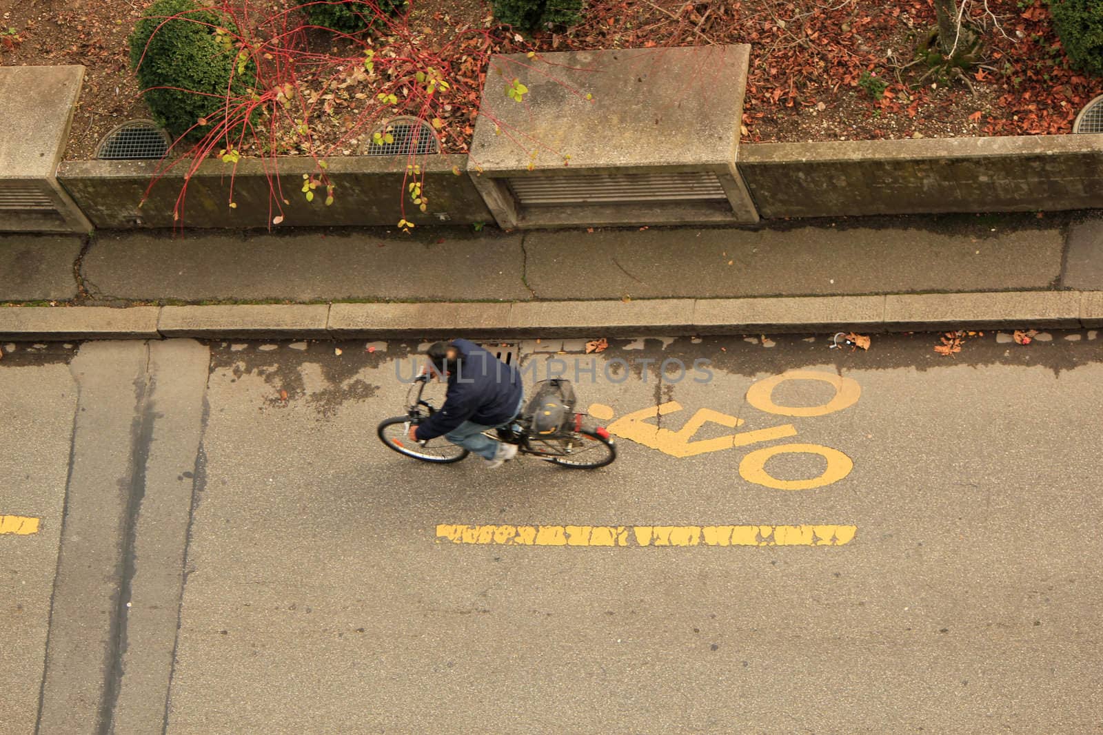 Street lane for bikers by Elenaphotos21