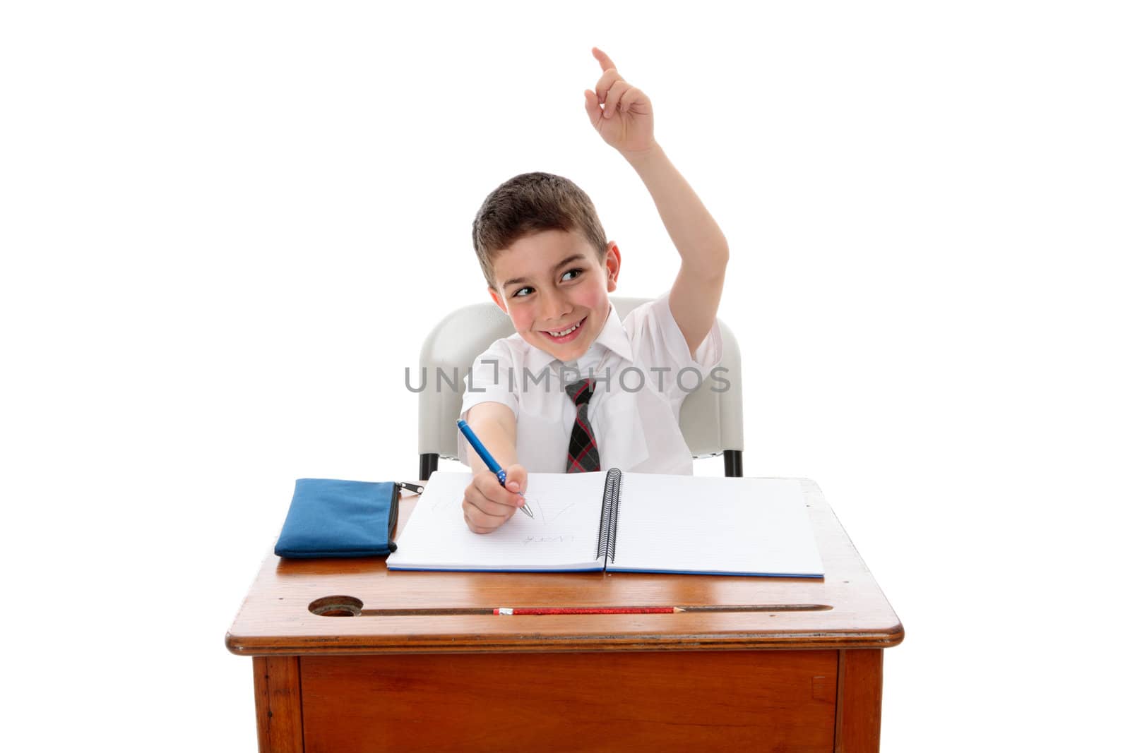 A little school boy student sitting at desk and with one hand up to answer or ask a question.  White background.