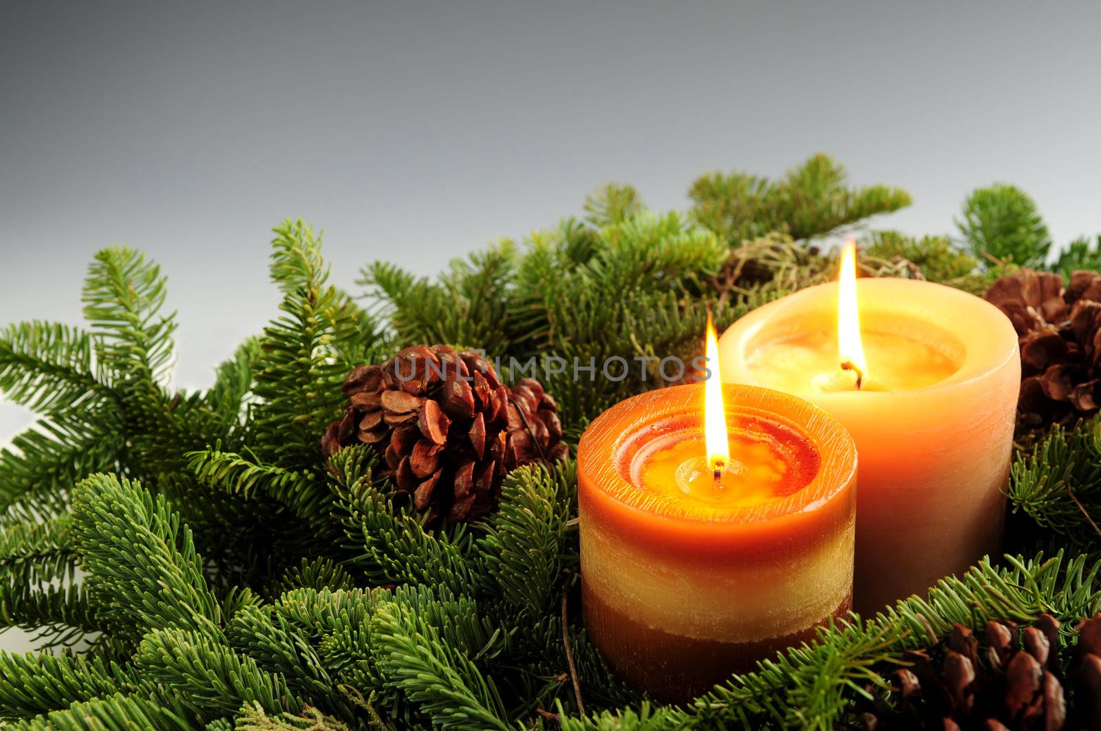 Christmas arrangement of burning candles and green spruce branches, background