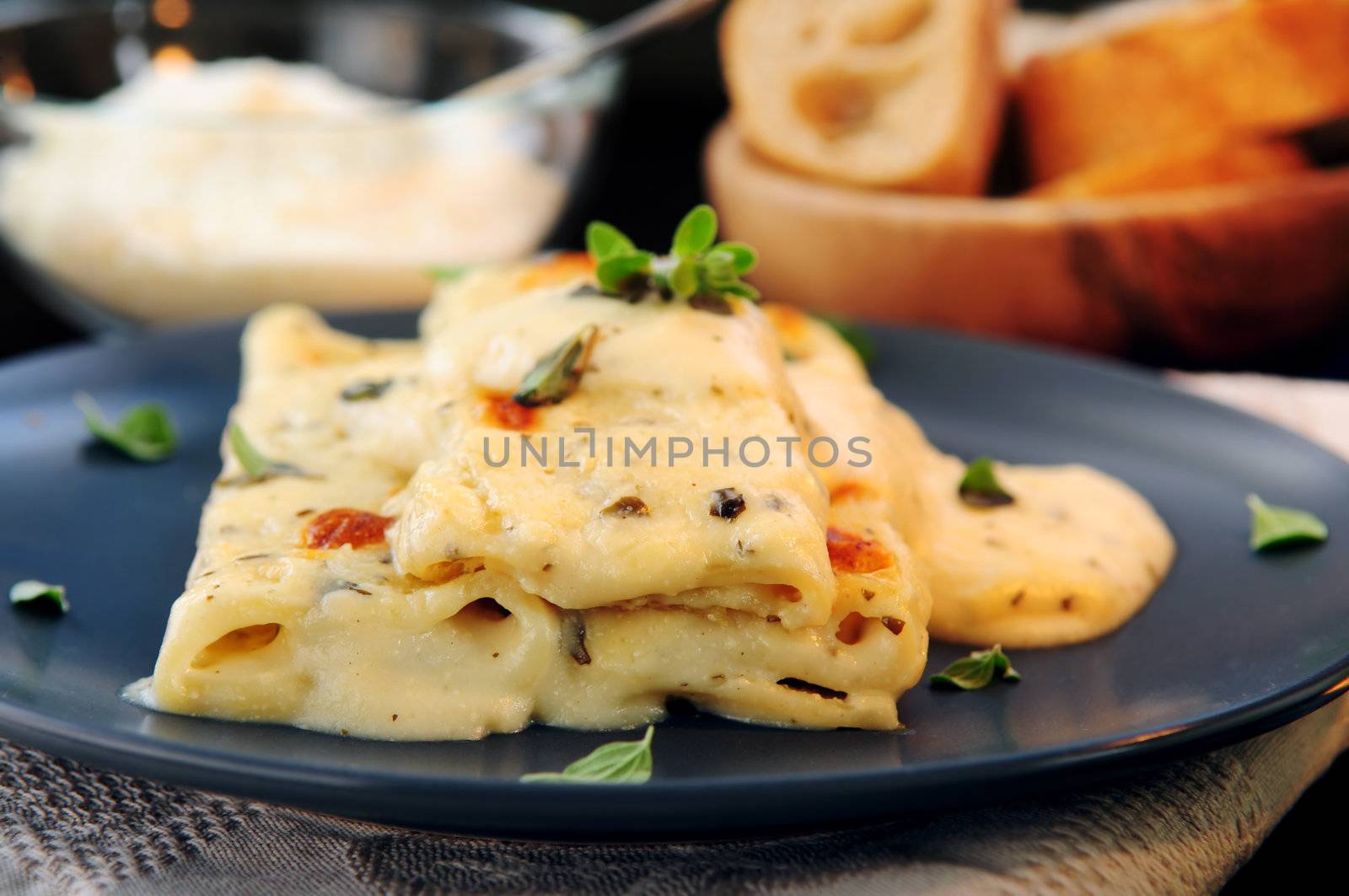 Cheese cannelloni pasta served on a plate with alfredo sauce