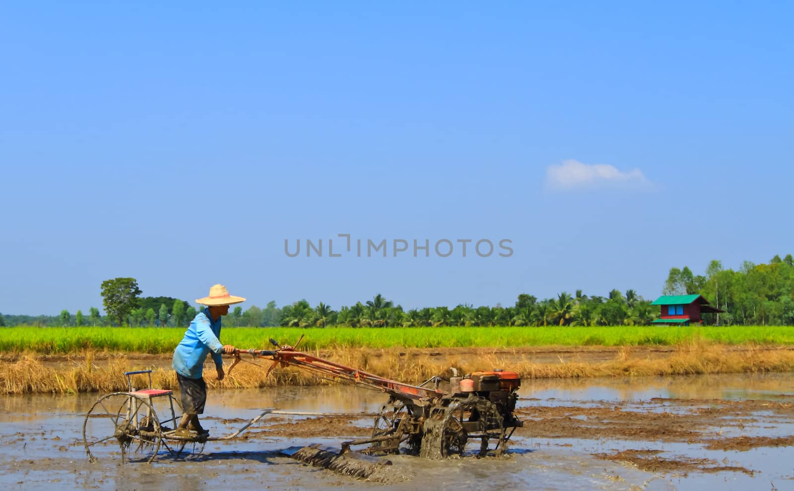 Thai farmer, Plowing to planting rice