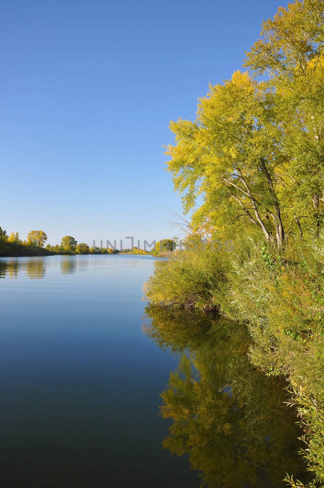 autumn landscape of lake and bright trees