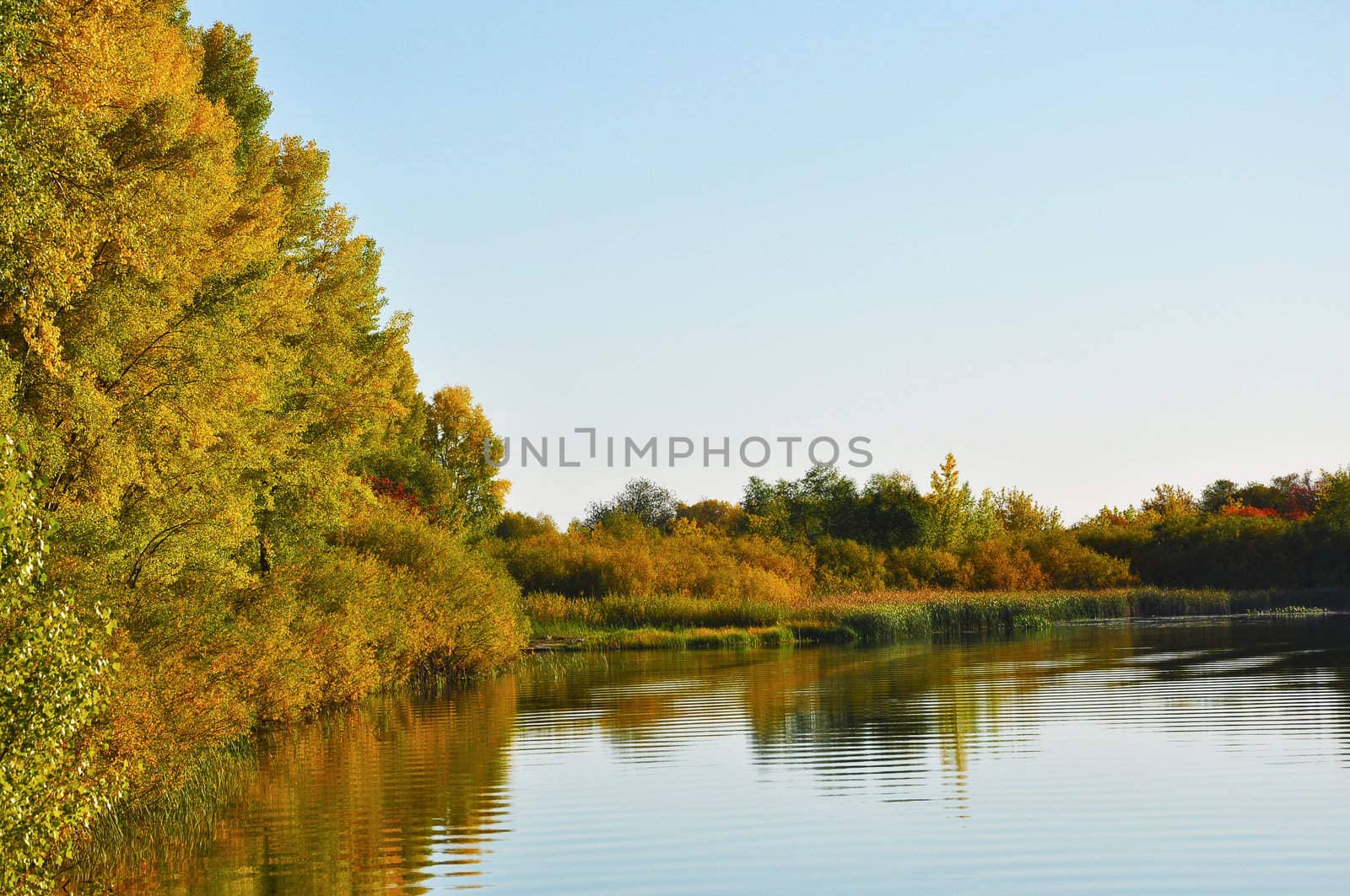 autumn landscape of lake and bright trees