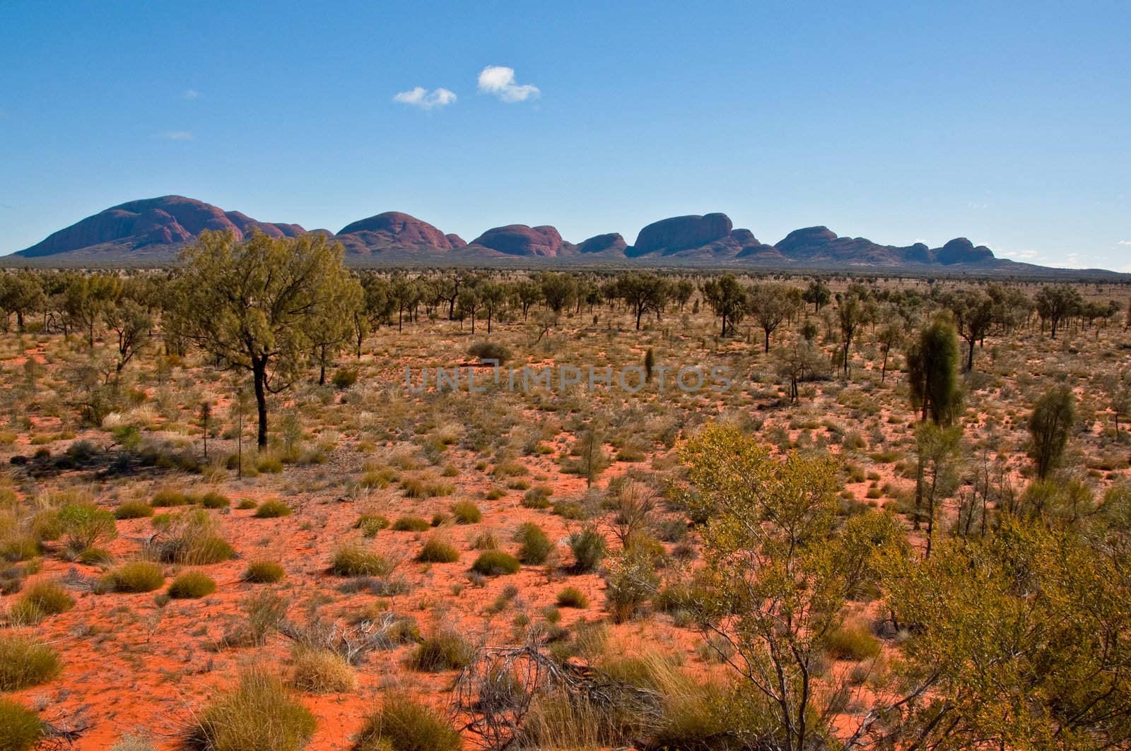 panoramic view of Kata Tjuta, australian red center
