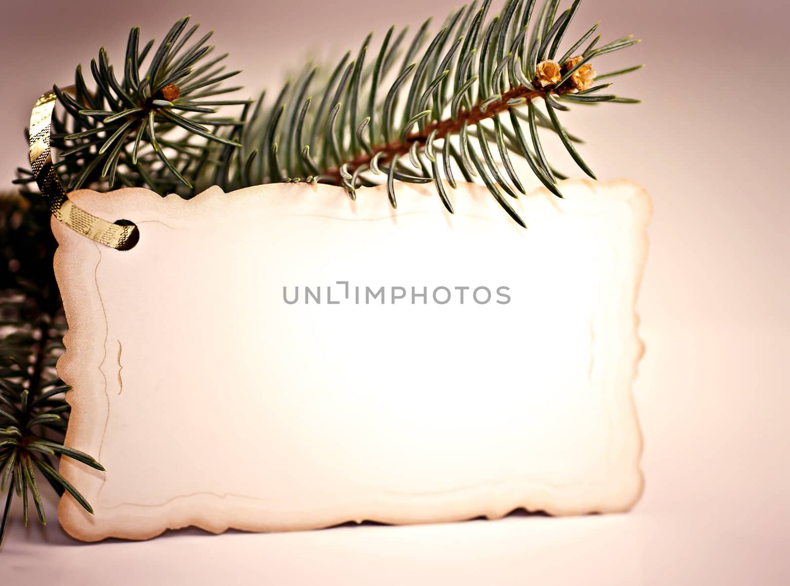 To spruce branch hanging Christmas greeting cards.
