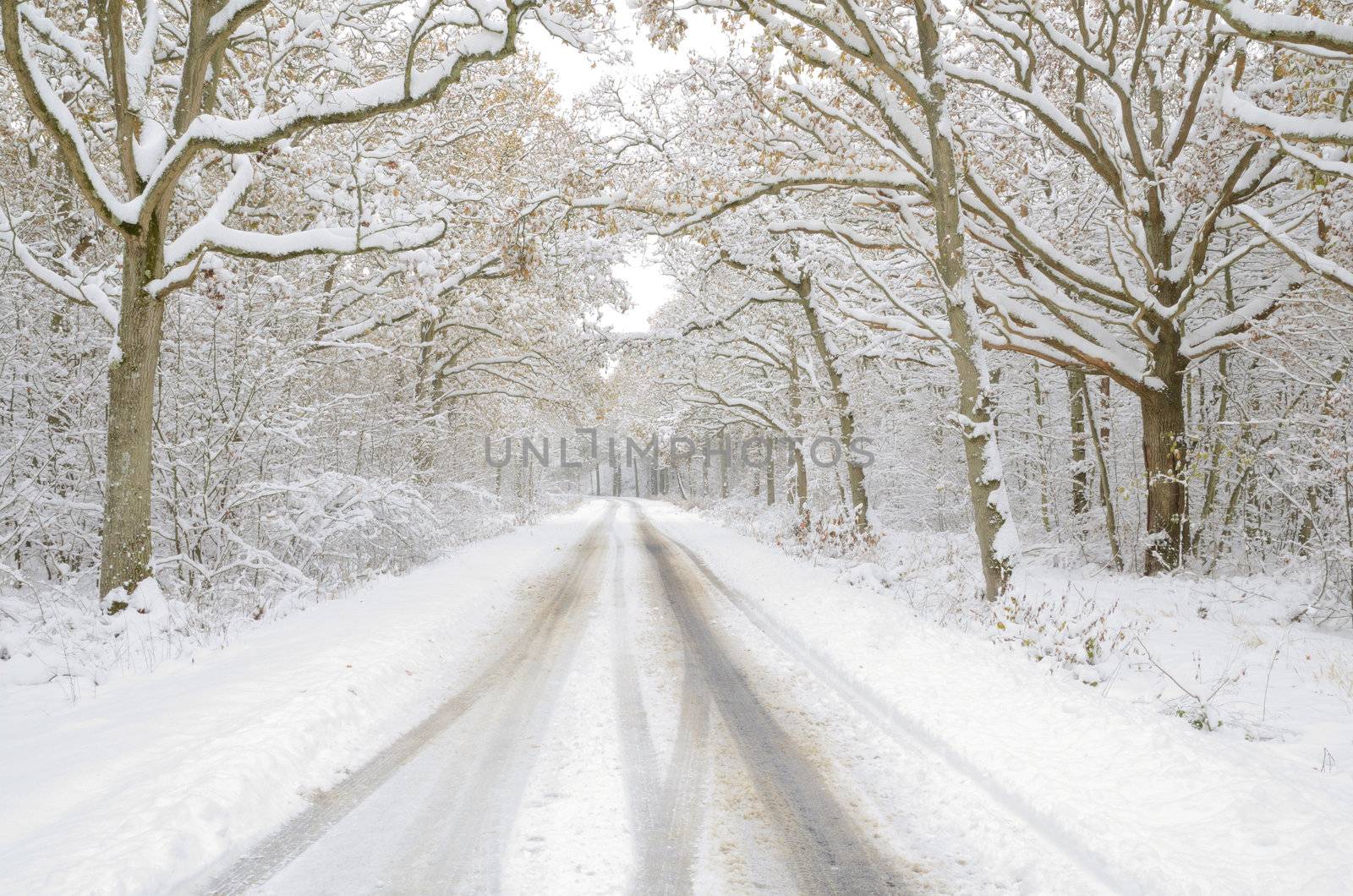 snowy roads by Jez22