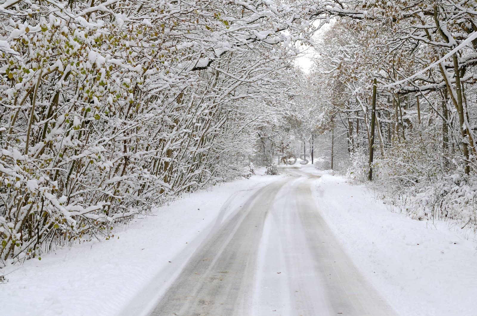 Snow road by Jez22