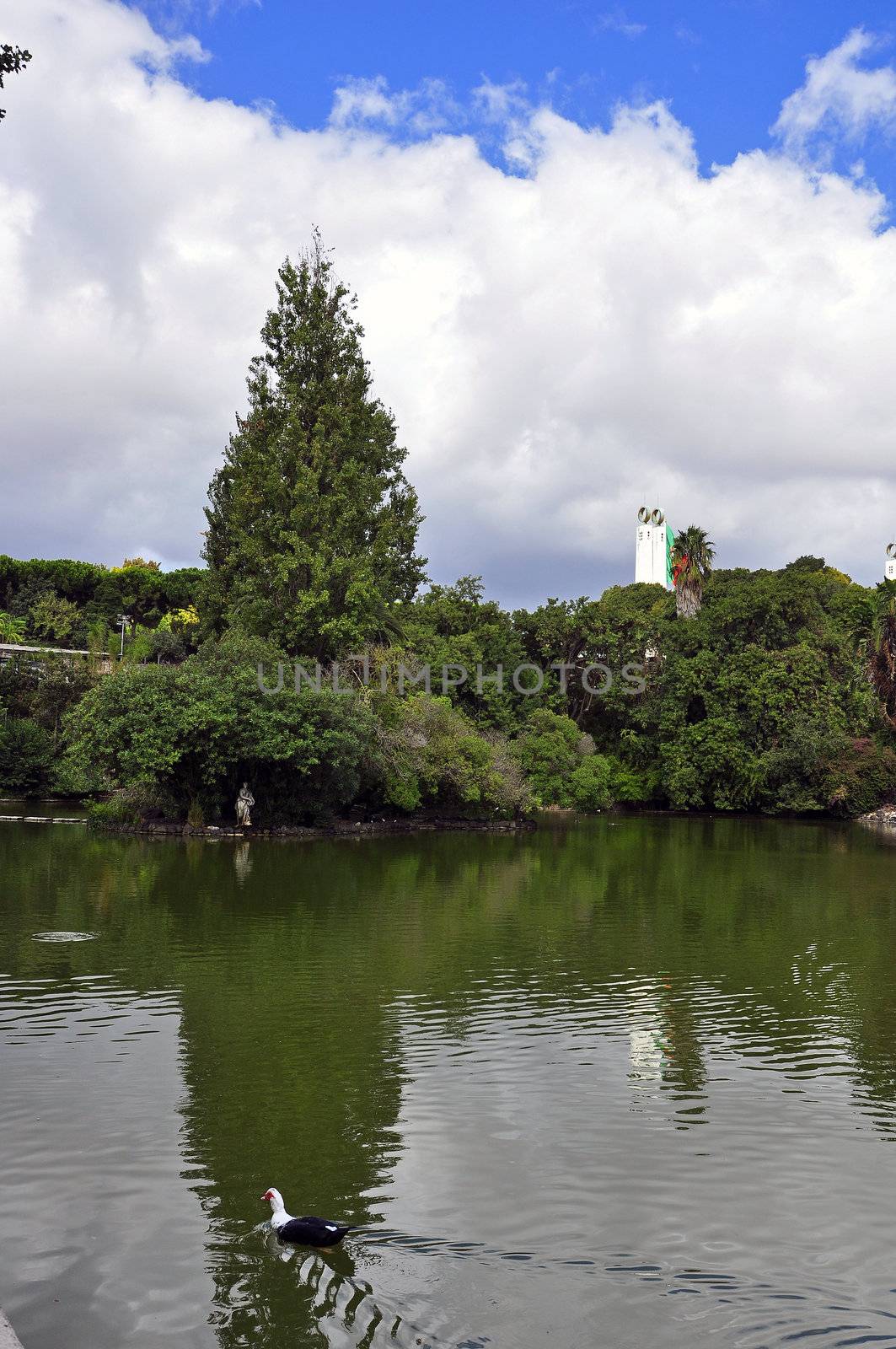 trees lake portugal park green reflection sunlight military outdoors