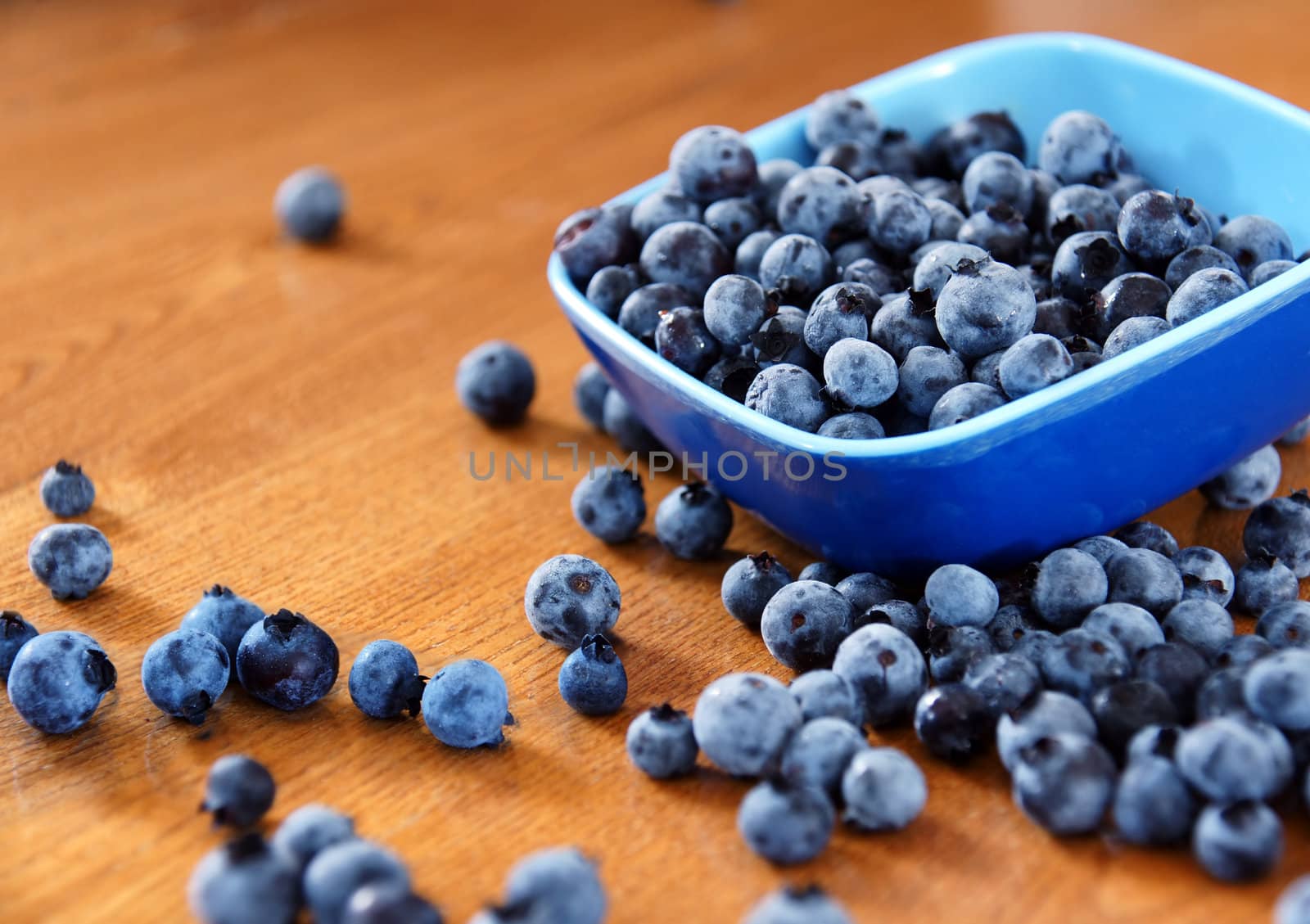 Yummy wild blueberries simply served in a small blue dish and spilled on the wooden kitchen table.