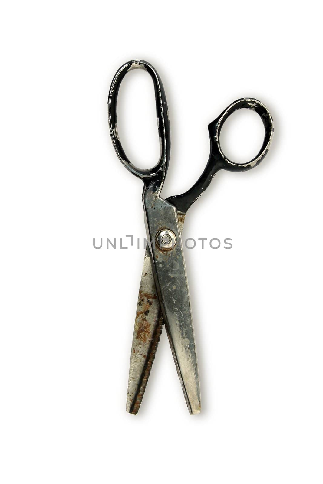 old rusty sewing scissors isolated on white background