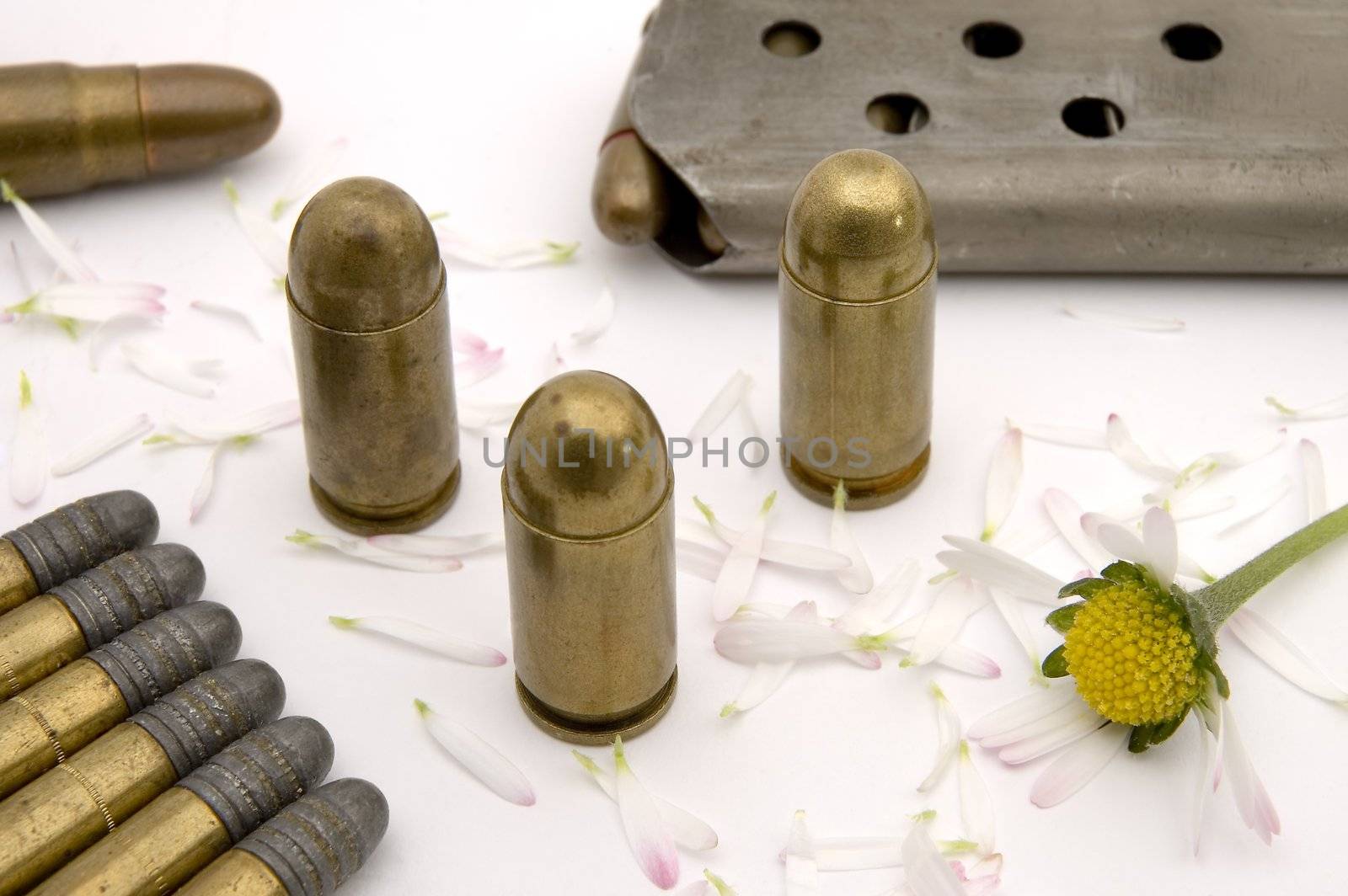 golden bullets on flower bucks, ammunition magazine in background, ripped flower 