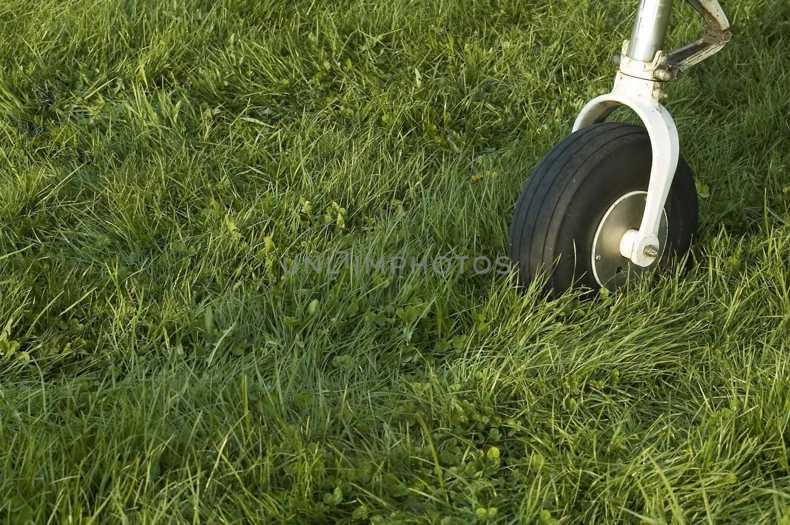 detail of an small airplane wheel on short cutted grass