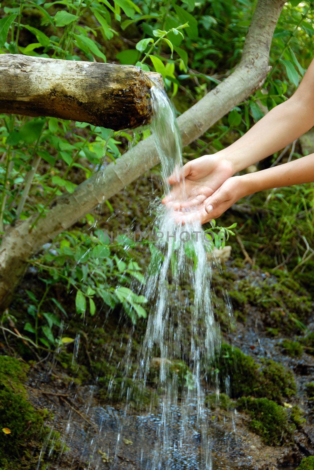 washing hands by spring water under wooden gutter over green natural background