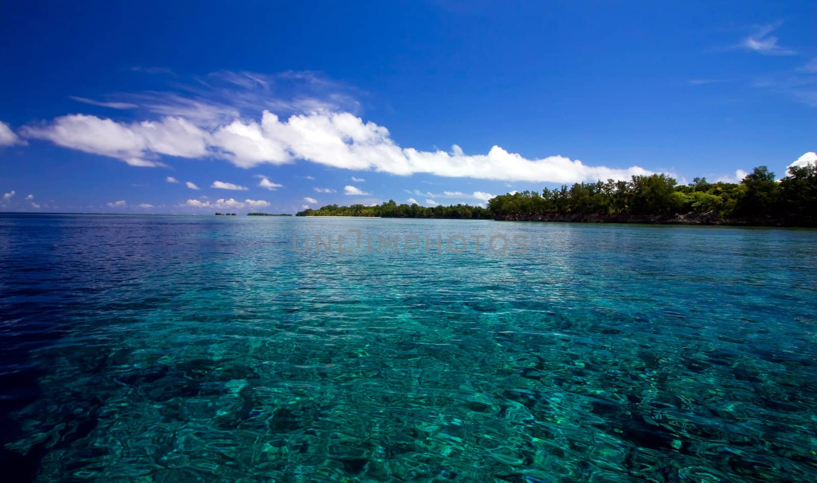sea