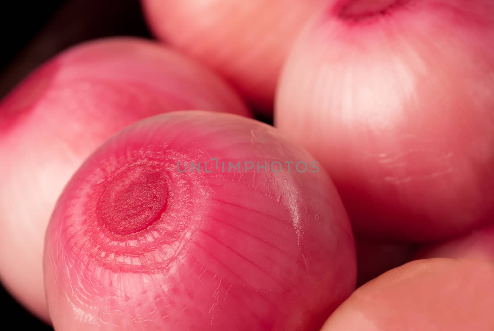 Fresh red onions pickled in vinagear, food background