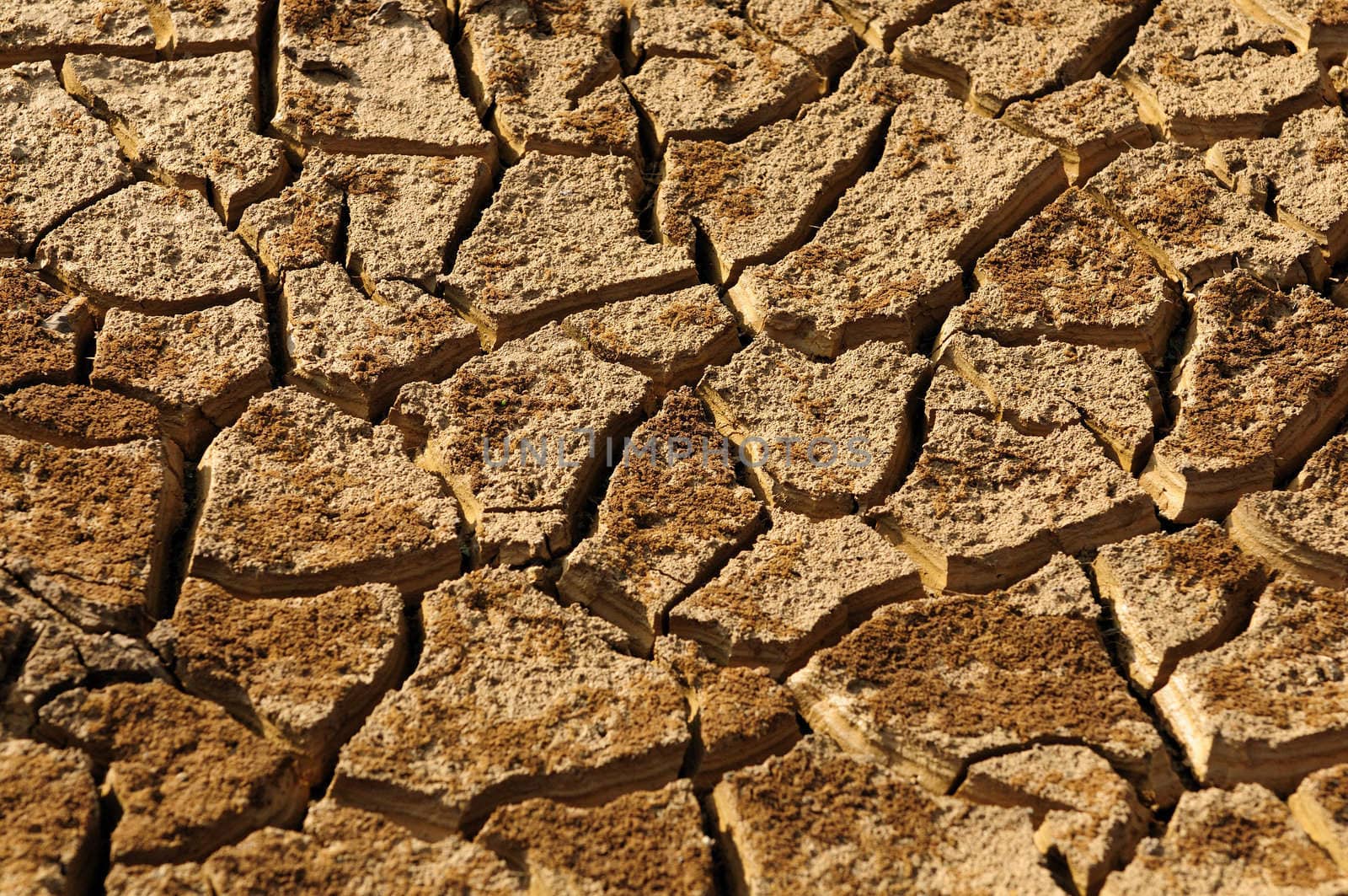 An abstract shot of a dry barren land