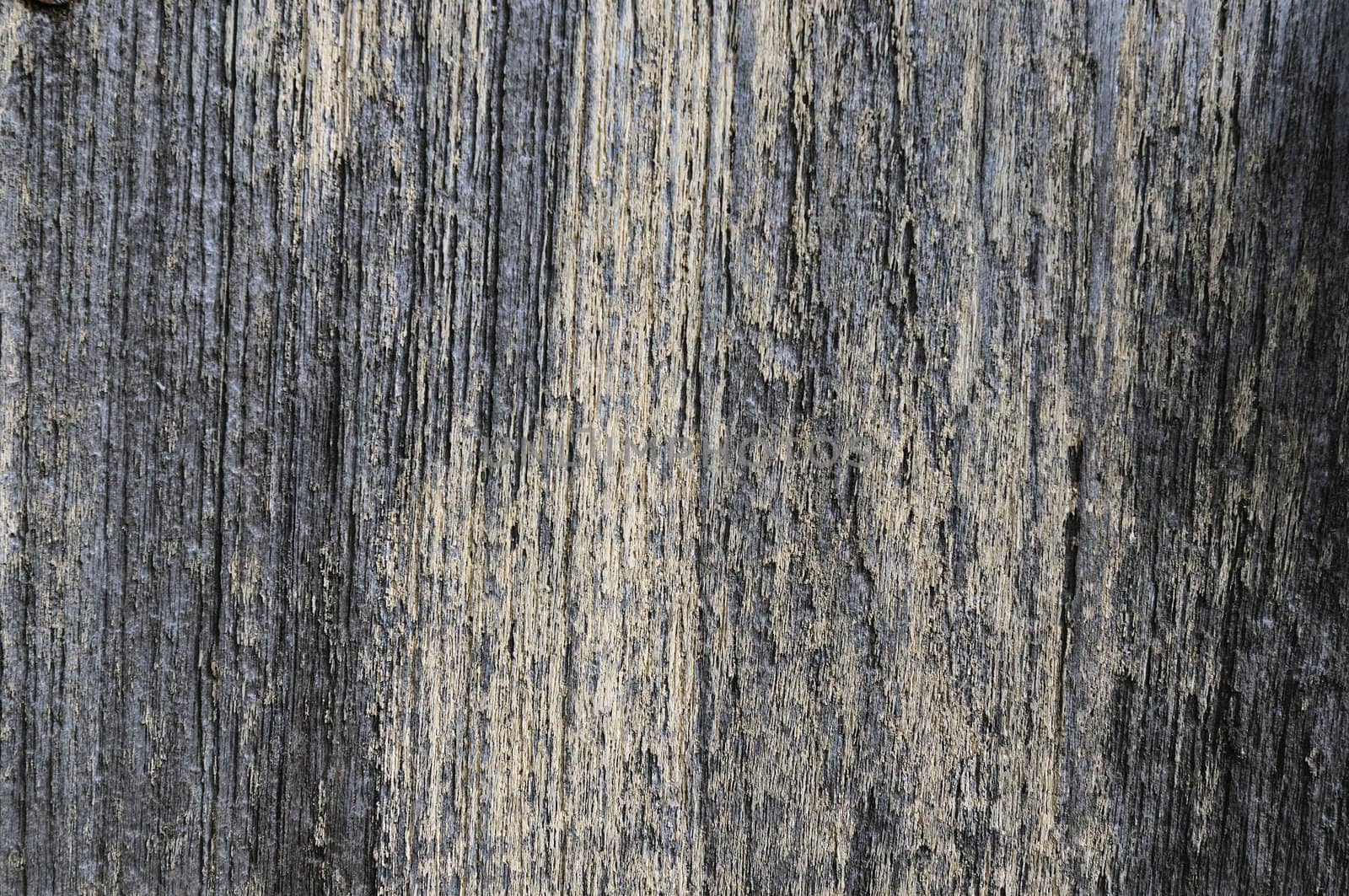 Abstract wooden texture background at close up