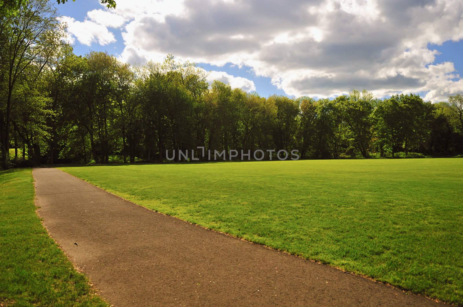 A lush green park on a bright sunny day