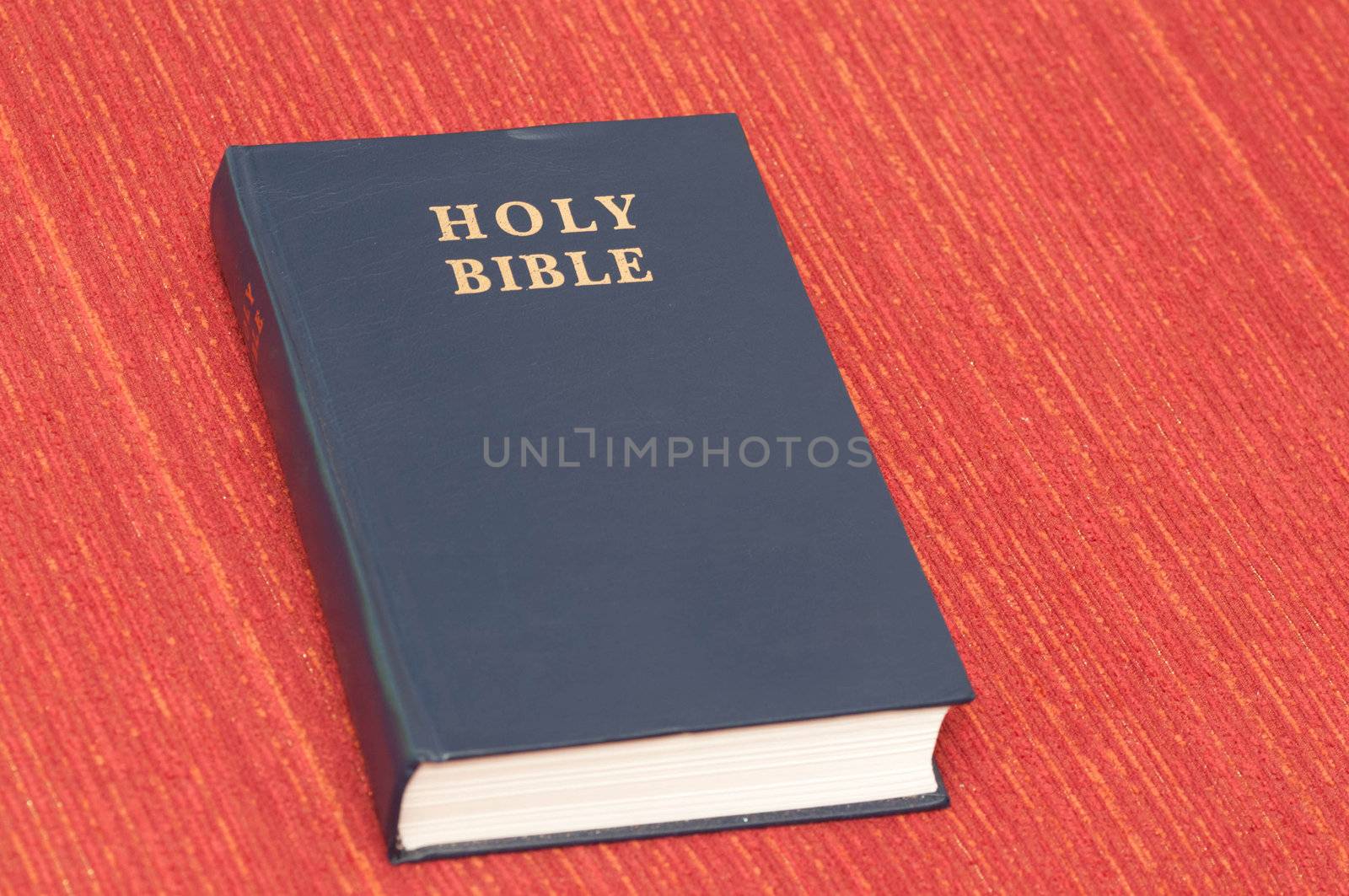 close up shot of the holy bible