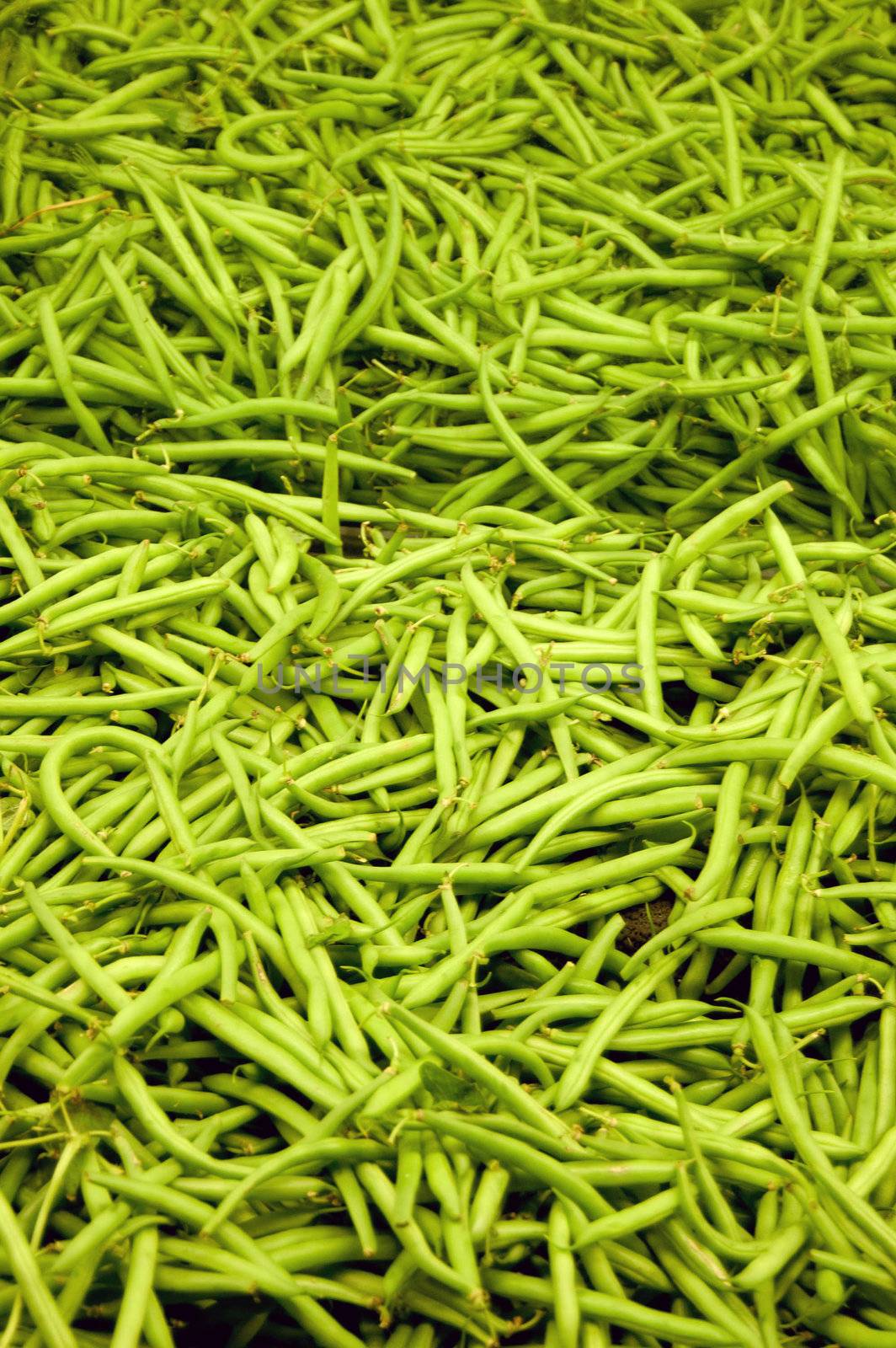freshly harvested grean beans at a local market