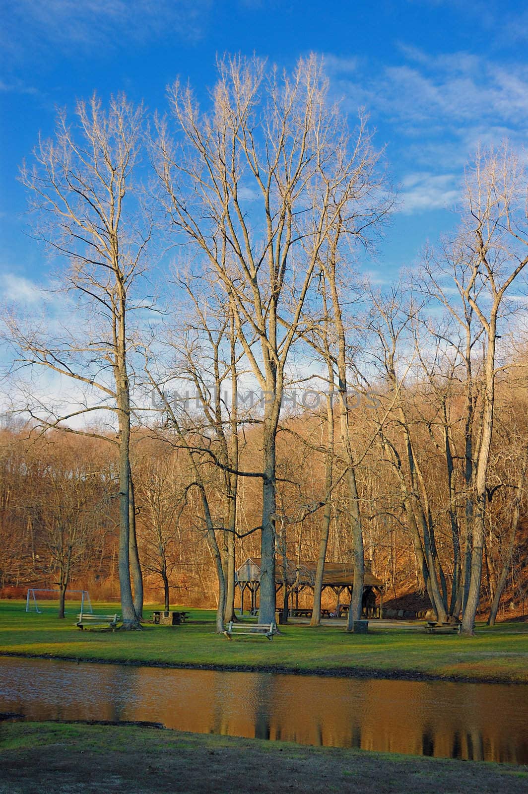 A beautiful park during the spring time