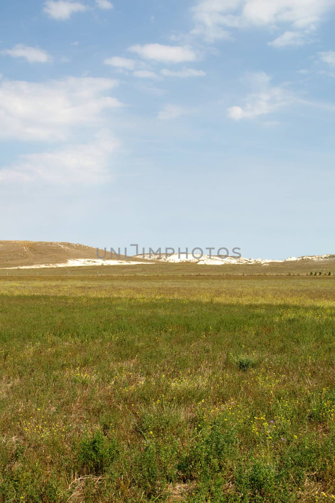 Steppe in the summer in the Crimea