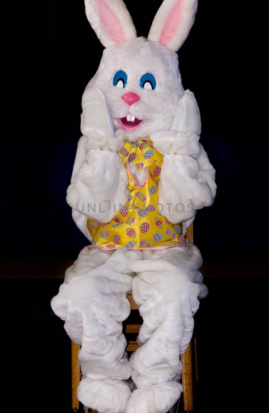 Rabbit sitting in a chair for Easter by pazham