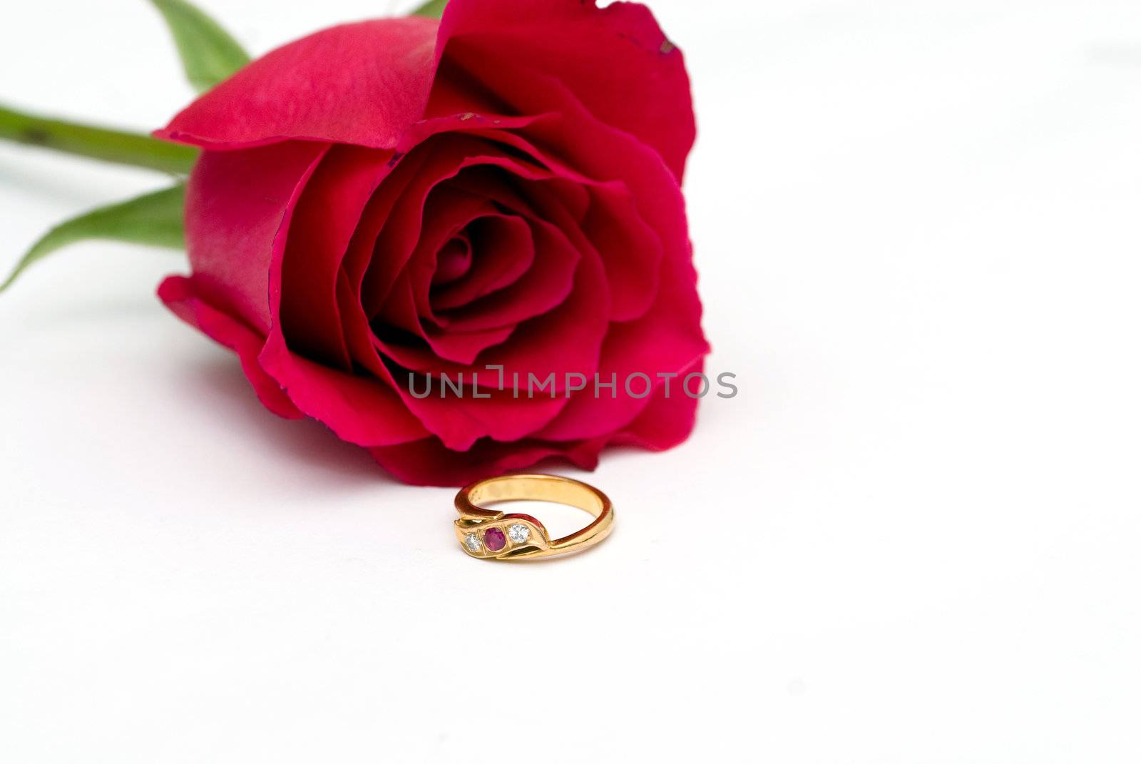 Rose and ring concept of love and engagement