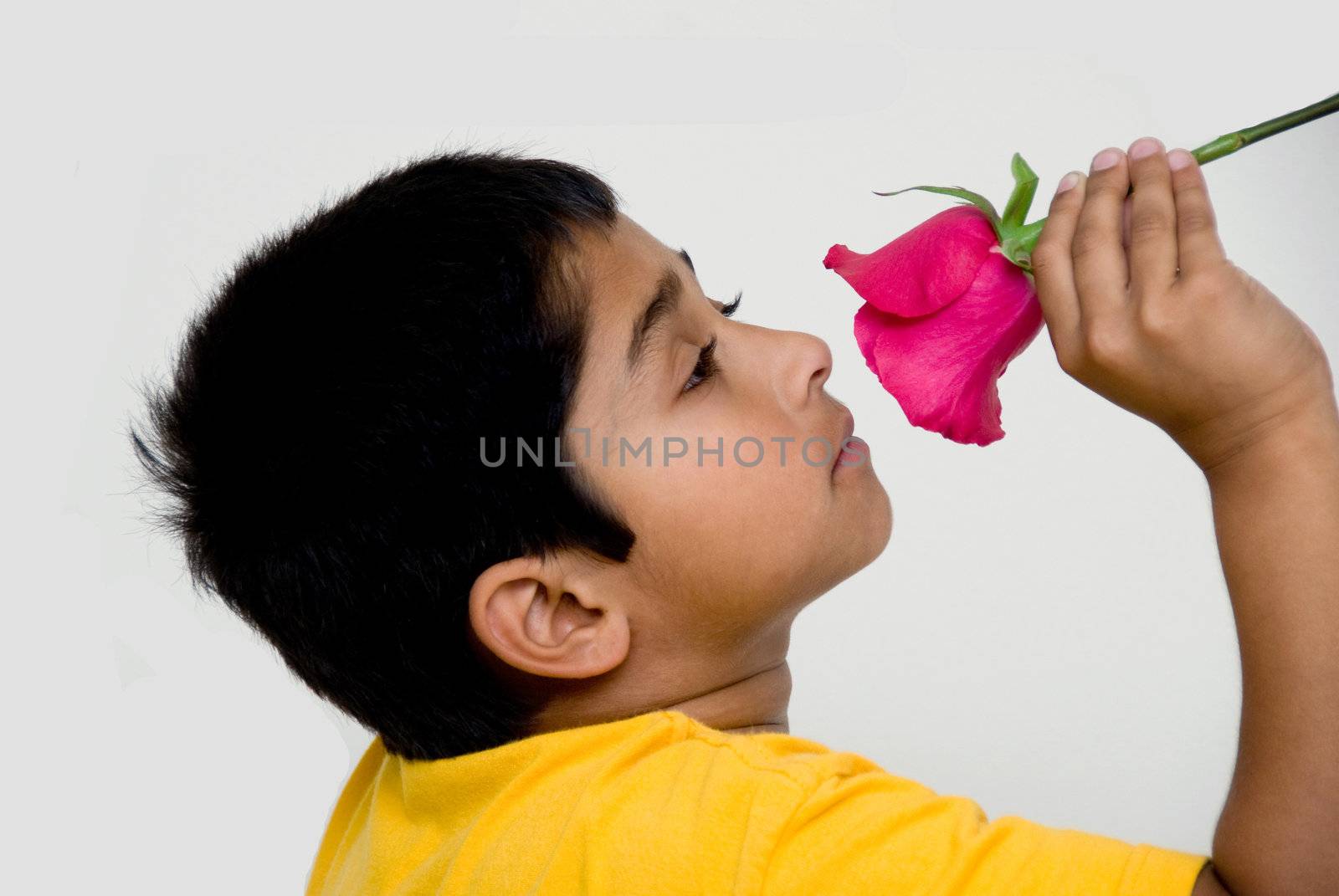 handsome indian kid holding flower for valentine by pazham